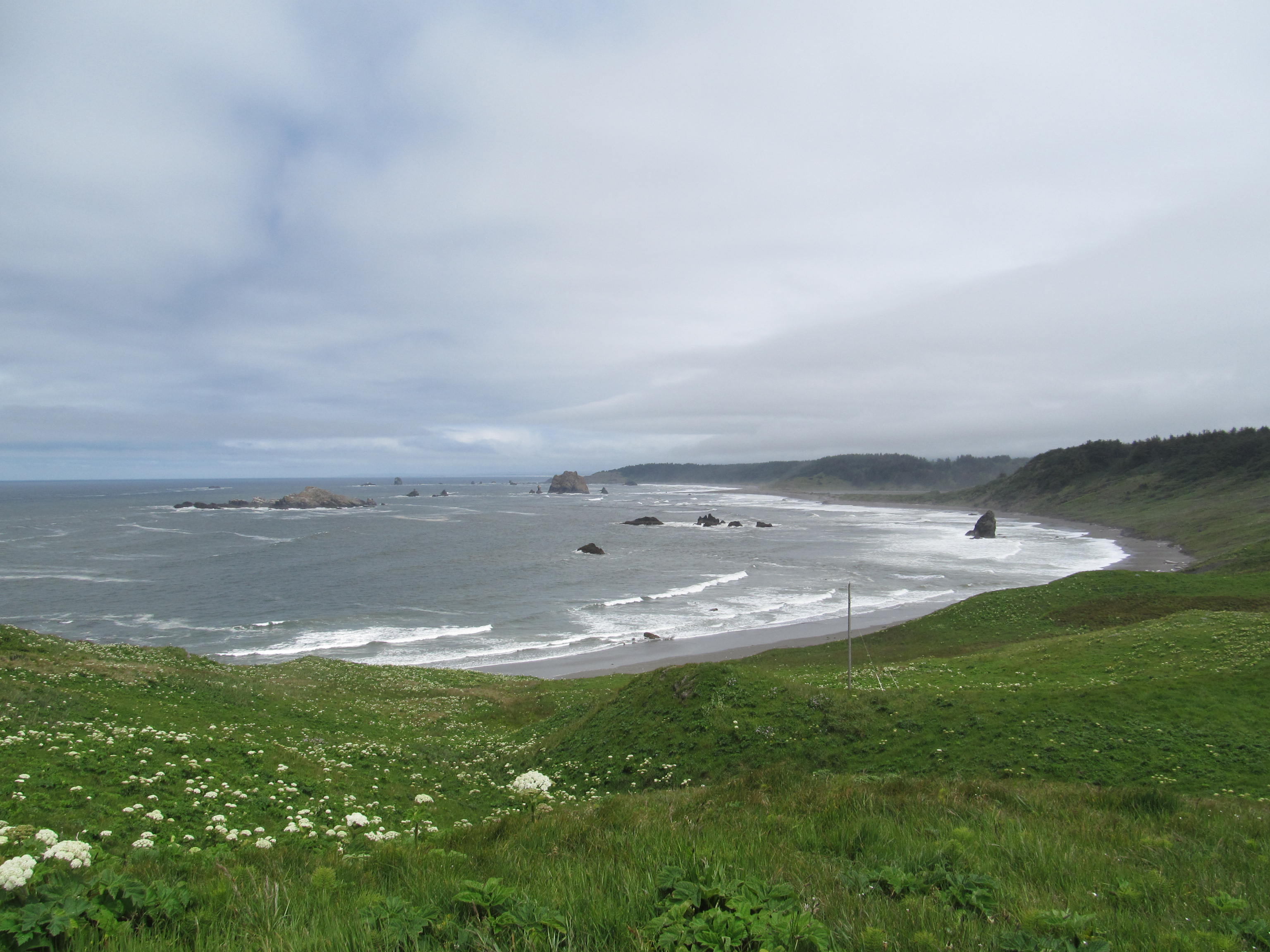 Cape Blanco Campground