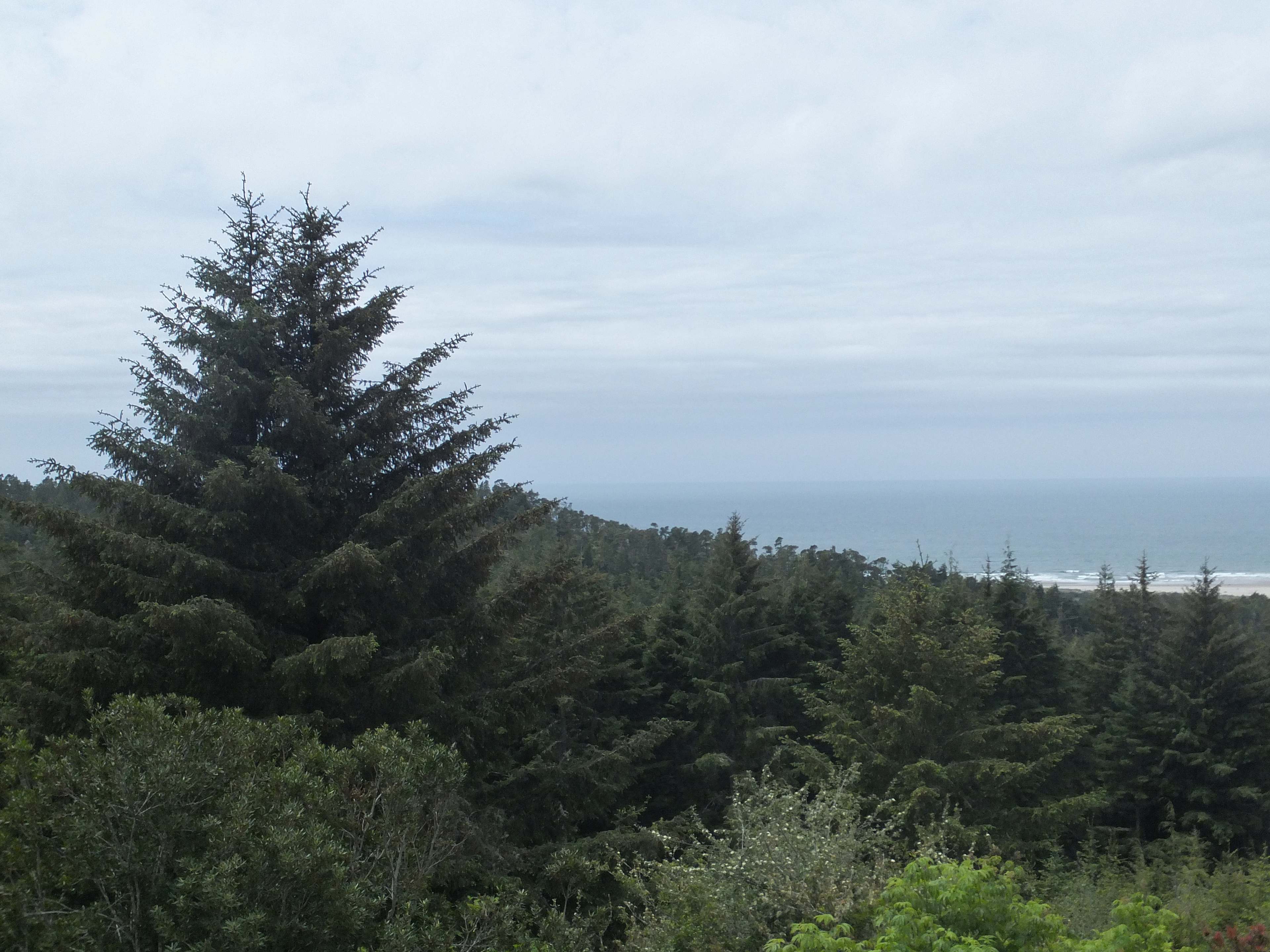 Umpqua Lighthouse Campground