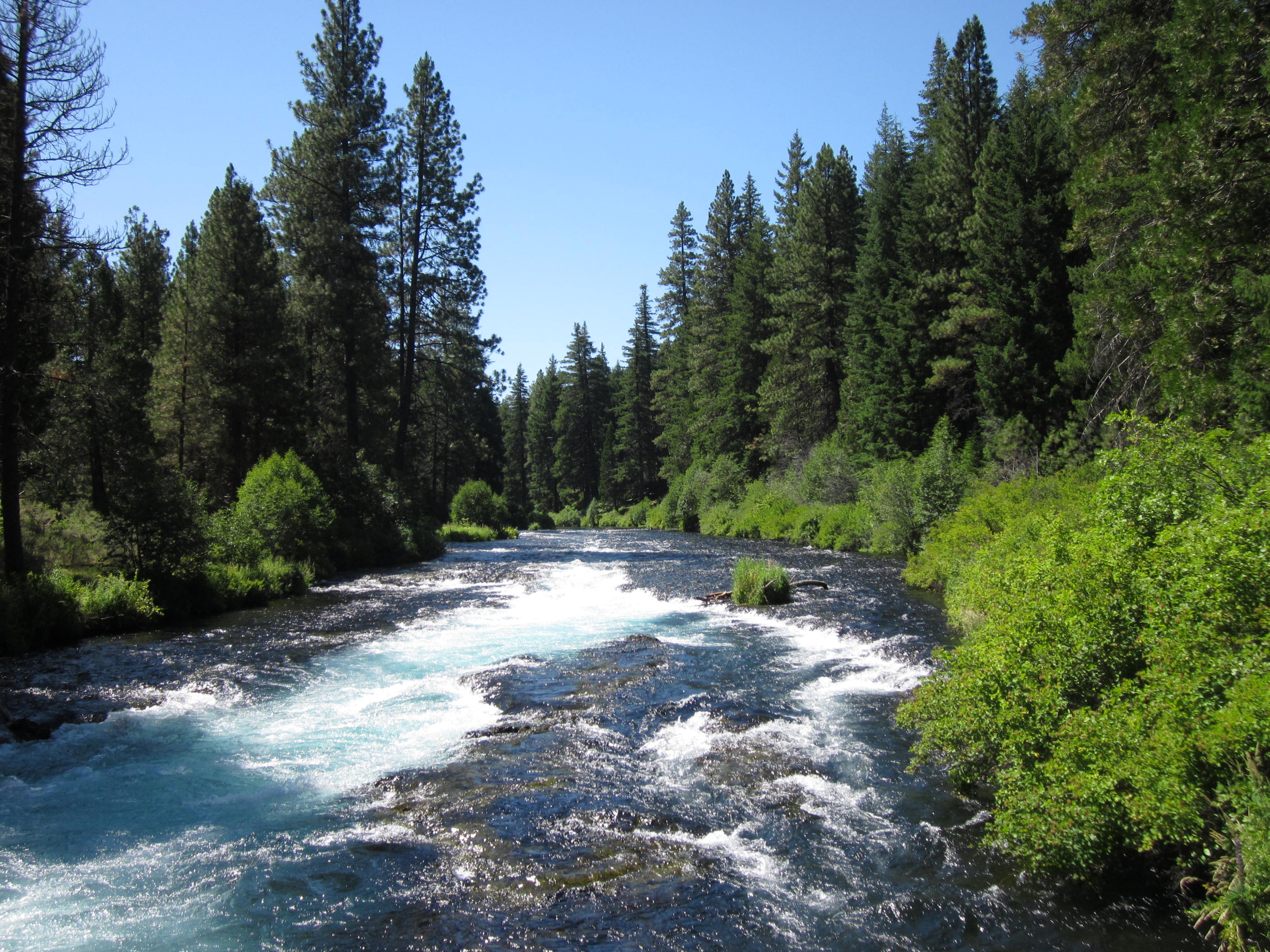 Soda Creek Campground