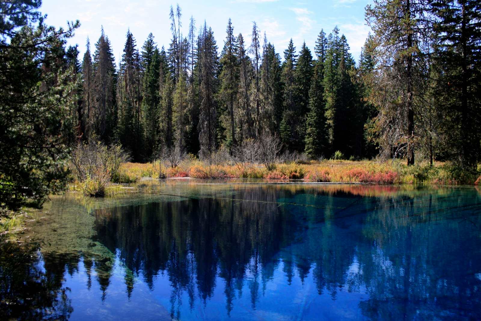 Tollgate Campground