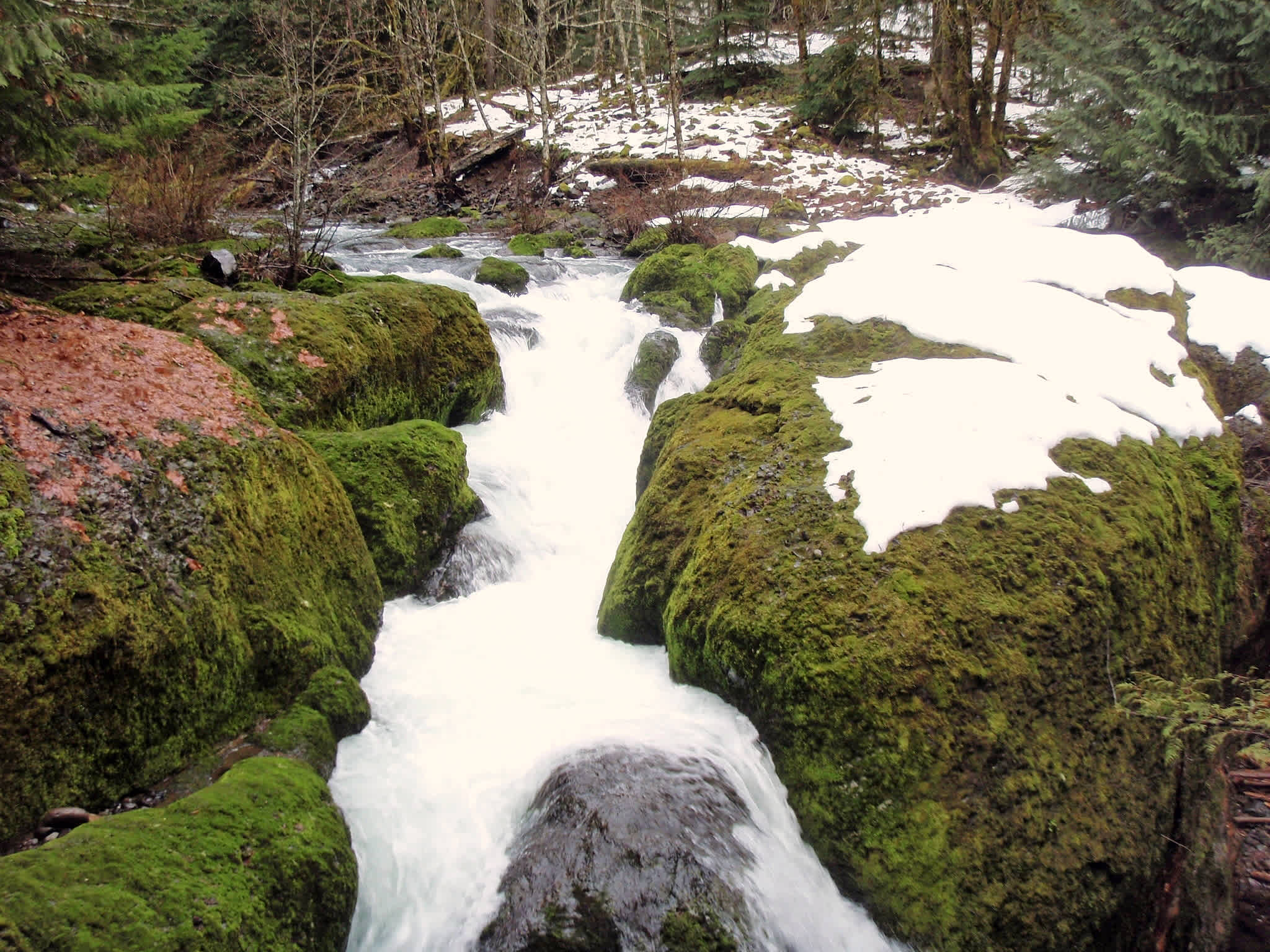 Gone Creek Campground