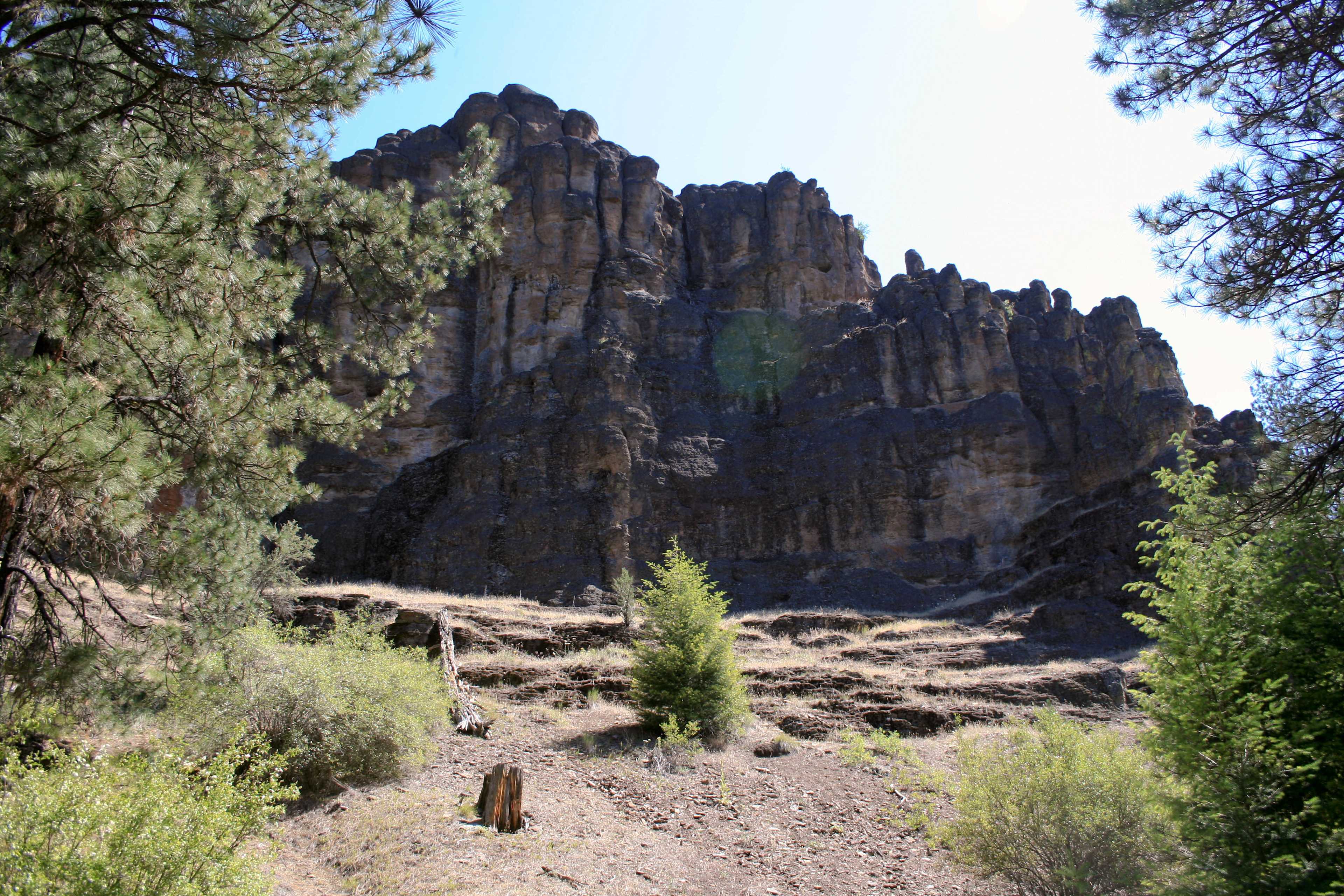 Ochoco Forest Campground