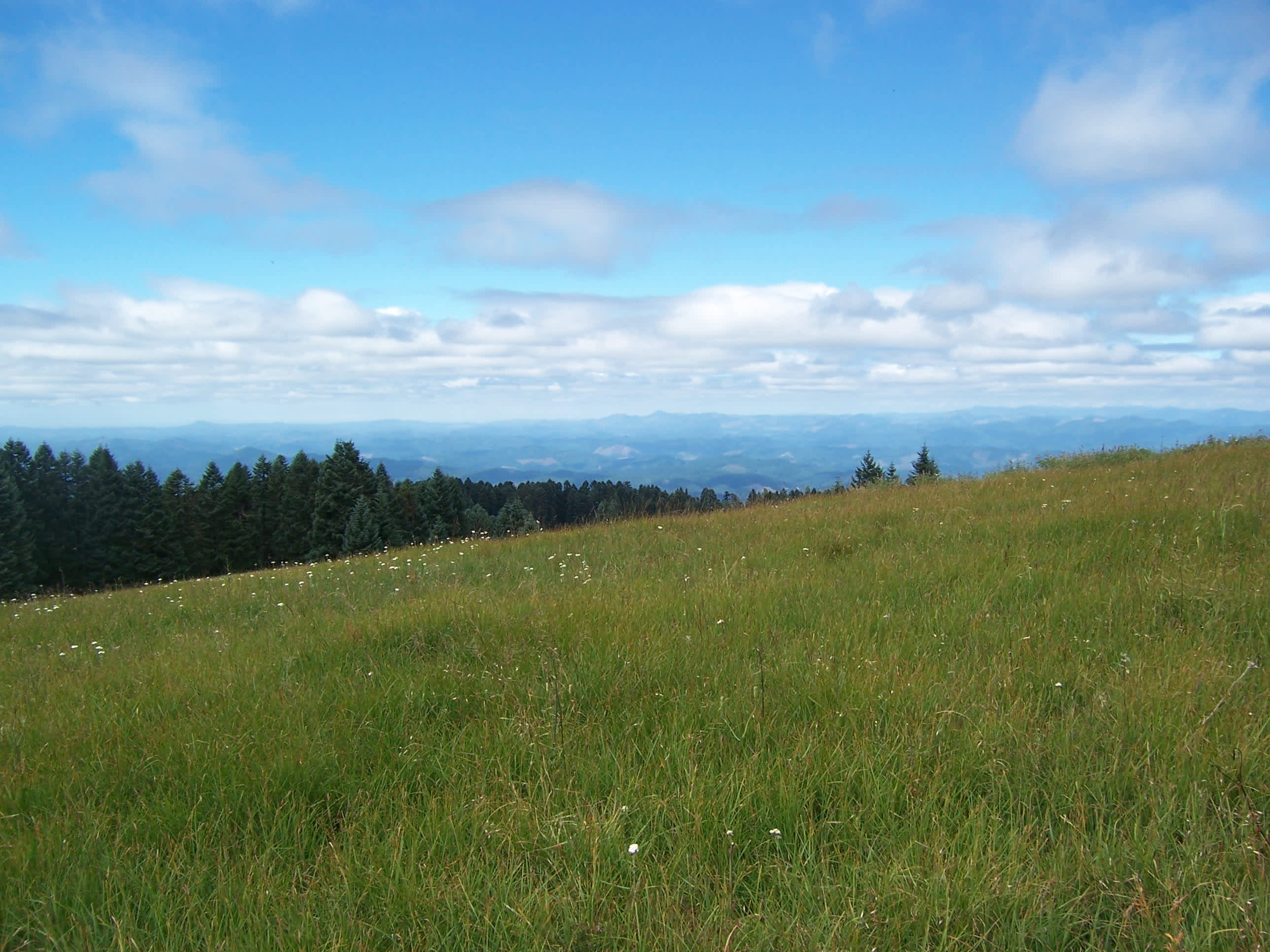 Siuslaw National Forest
