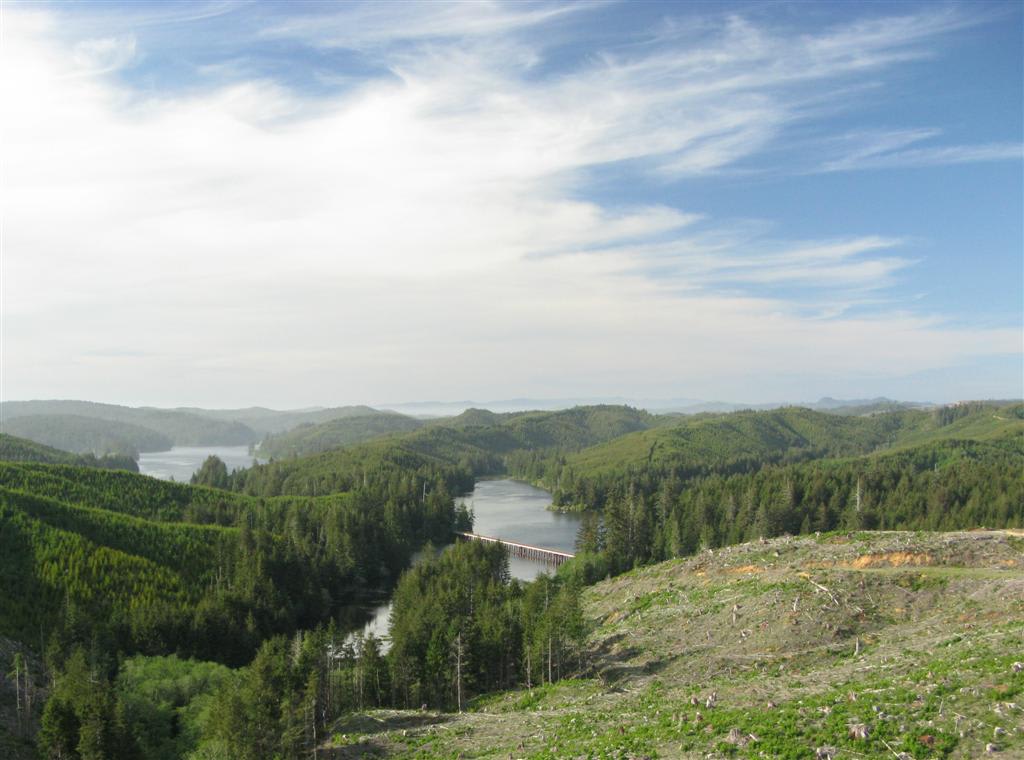 Driftwood Campground