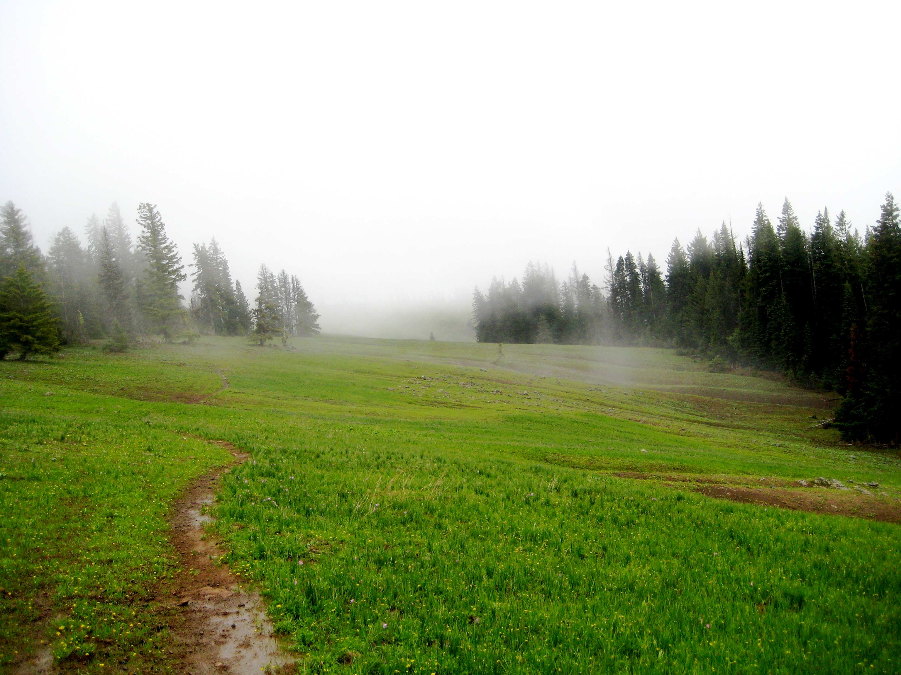 Coalmine Hill Campground