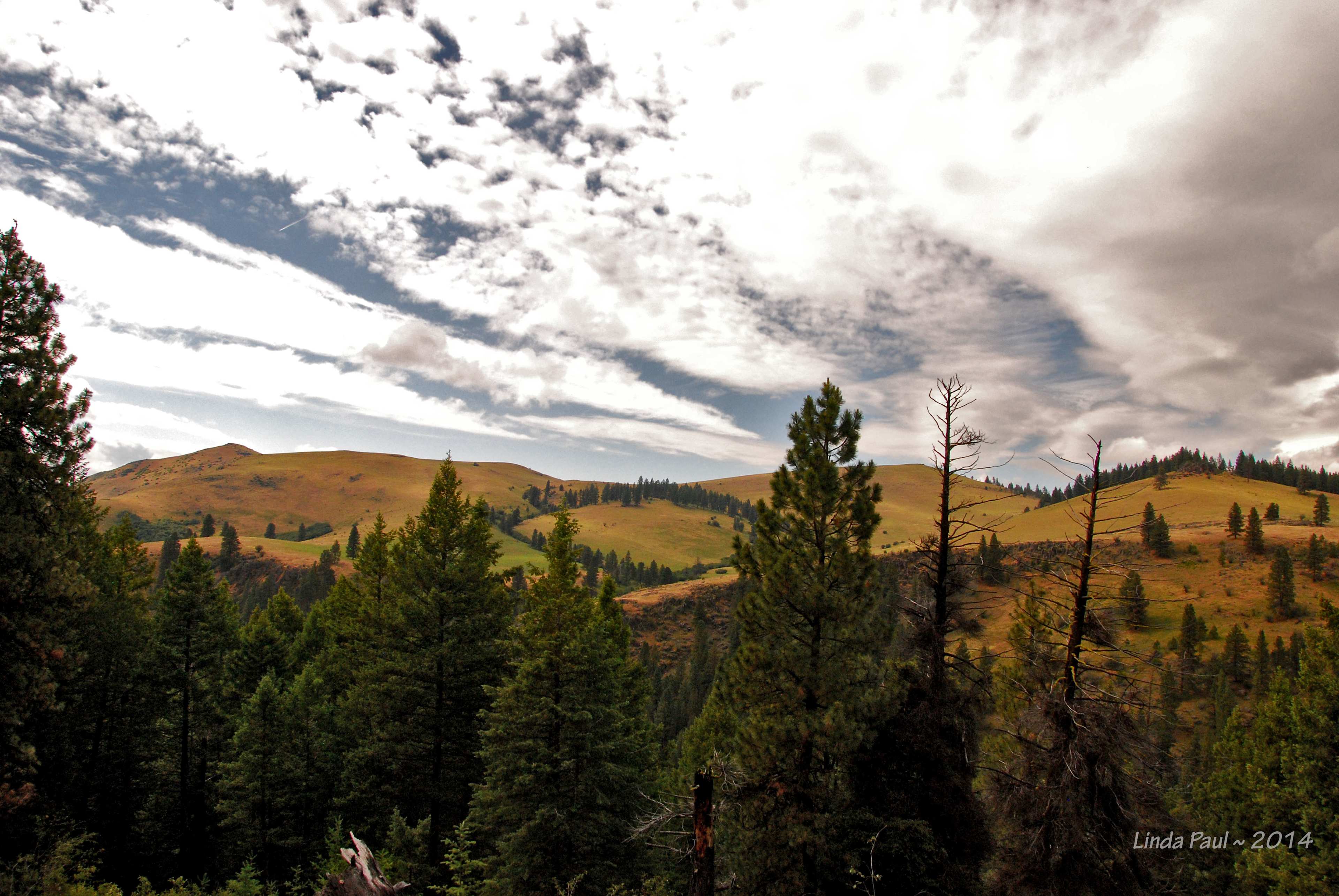 Oregon Campground