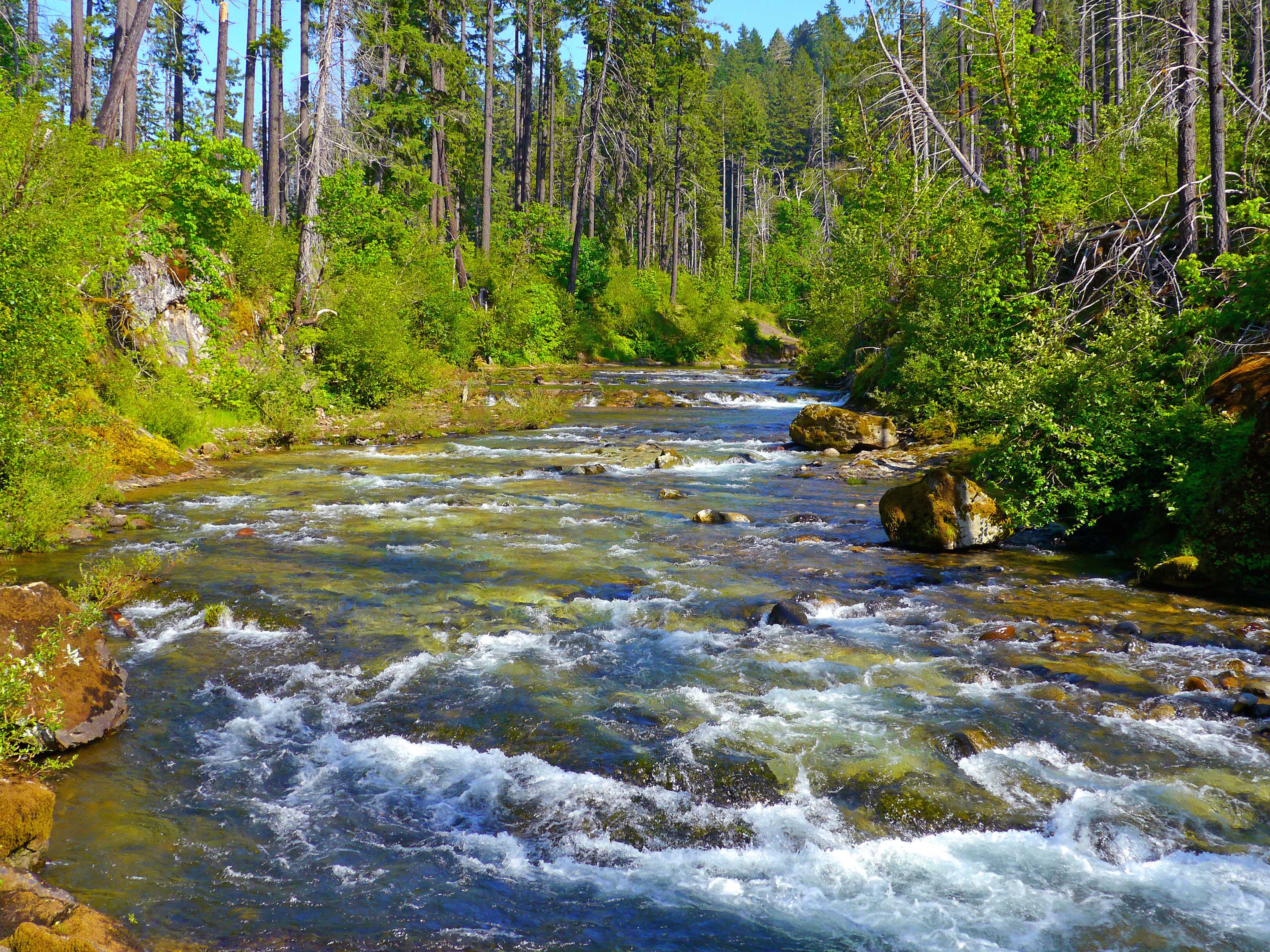 Bedrock Campground