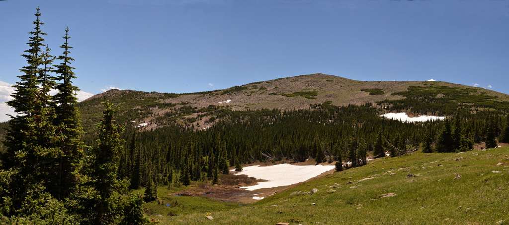 Coot Pond