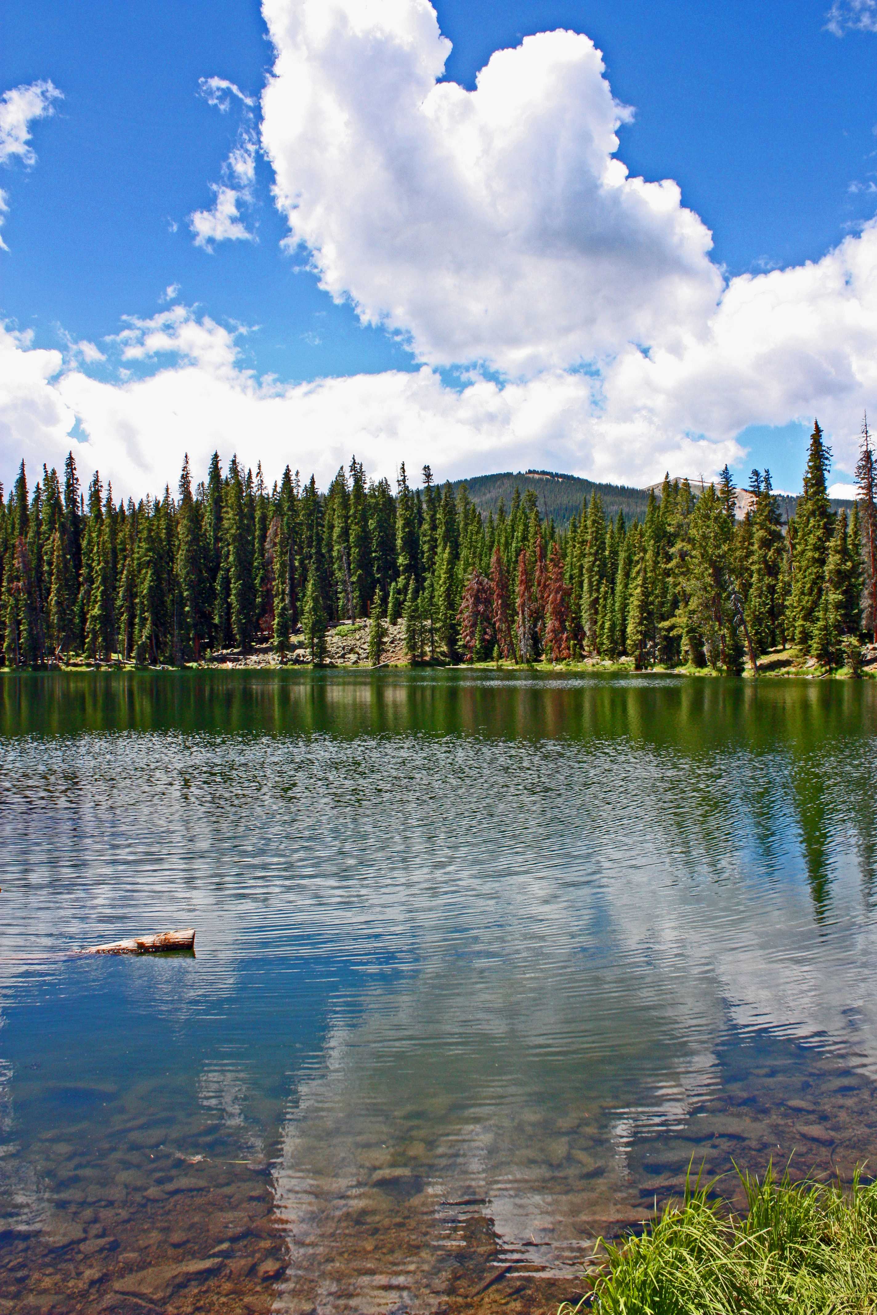 Arapaho National Forest