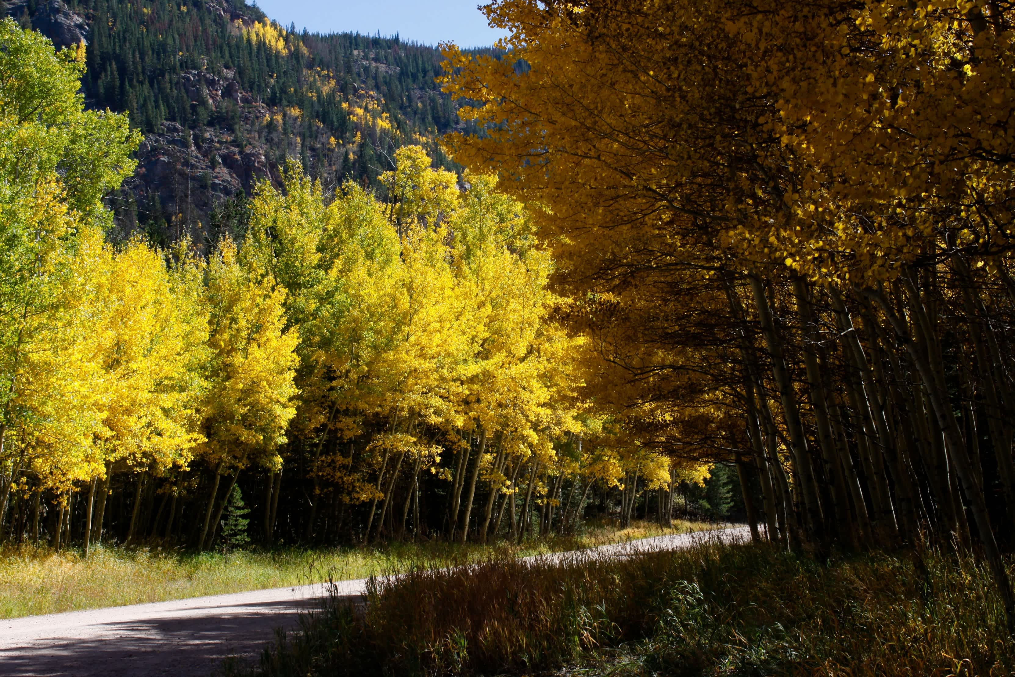 West Lake Campground