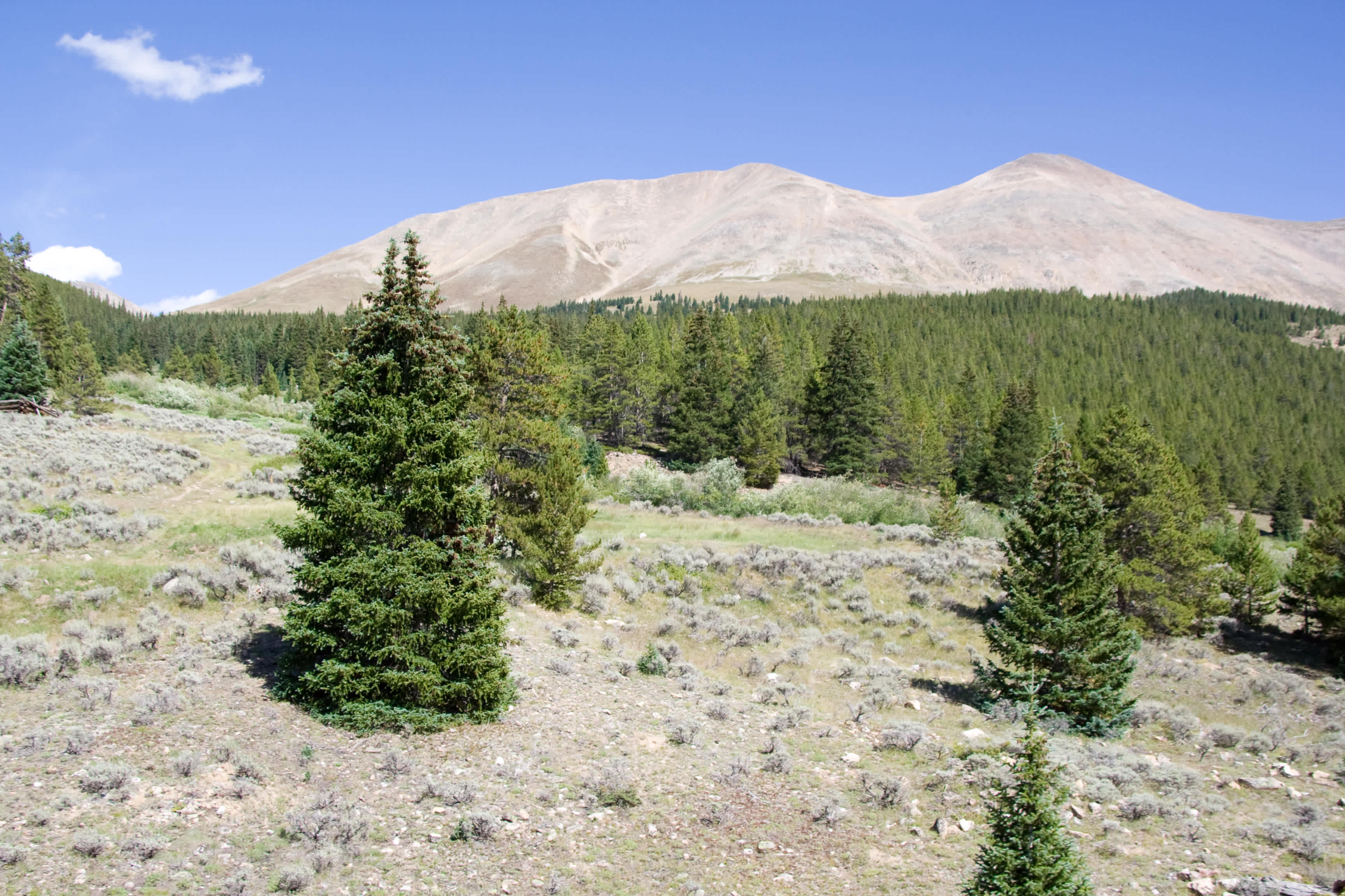Mingus Ranch Campground