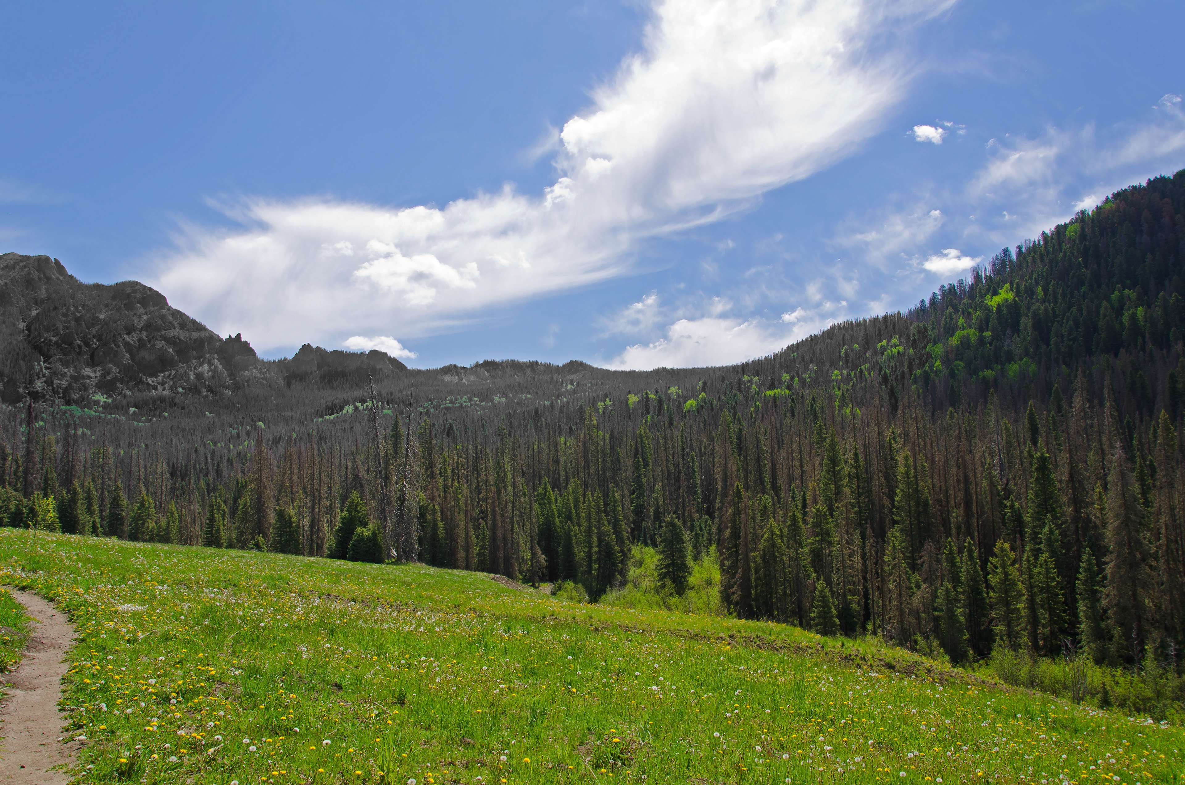 North Canyon Campground