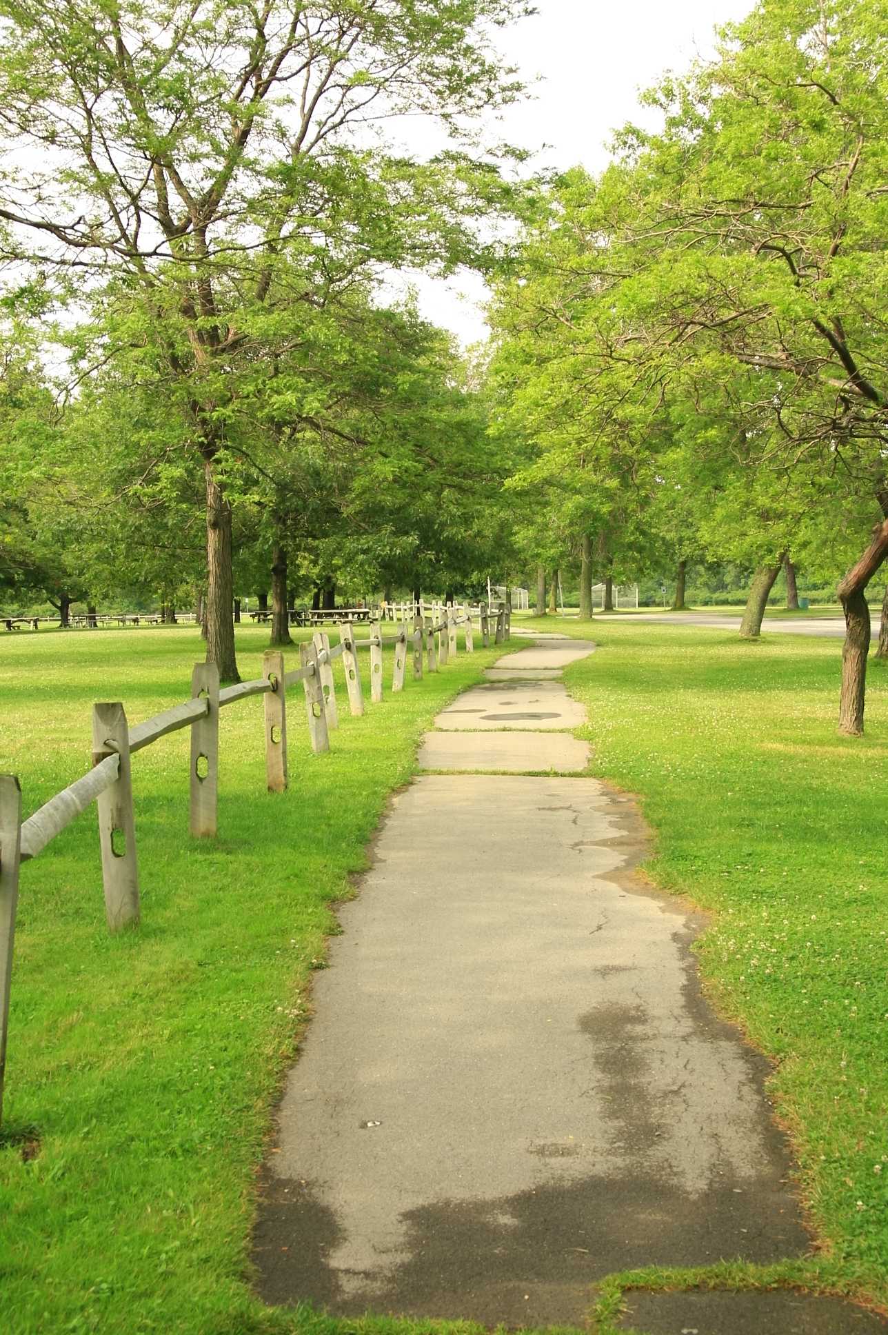 Evangola State Park Campground