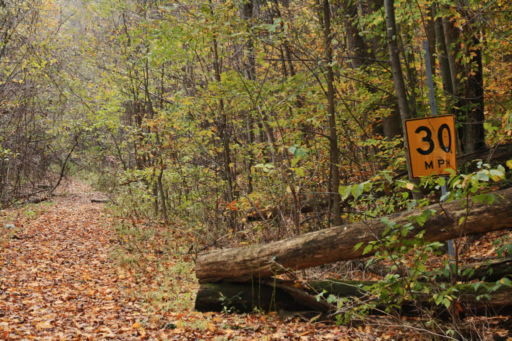 Max V. Shaul State Park Campground