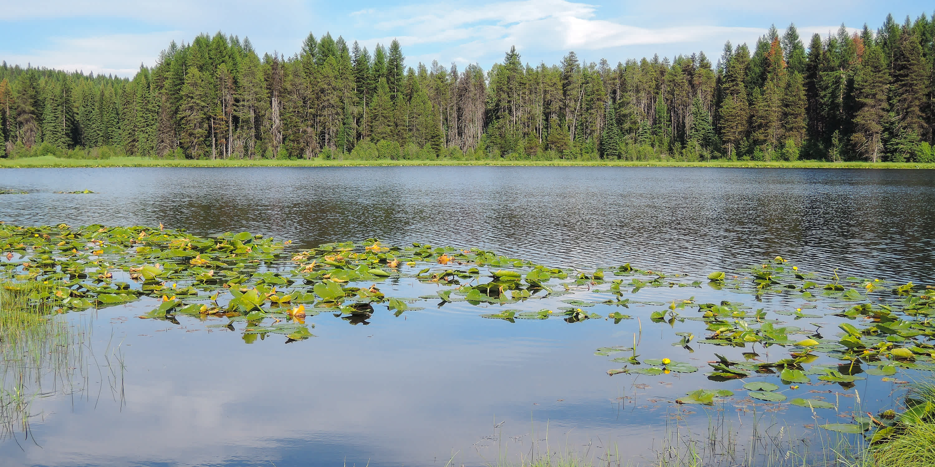 Lake Leo Campground