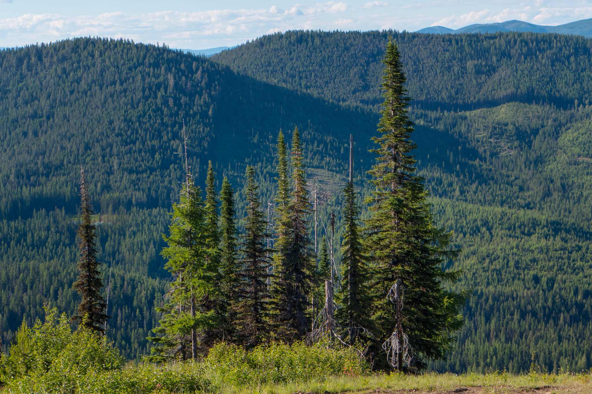 South Skookum Lake Campground