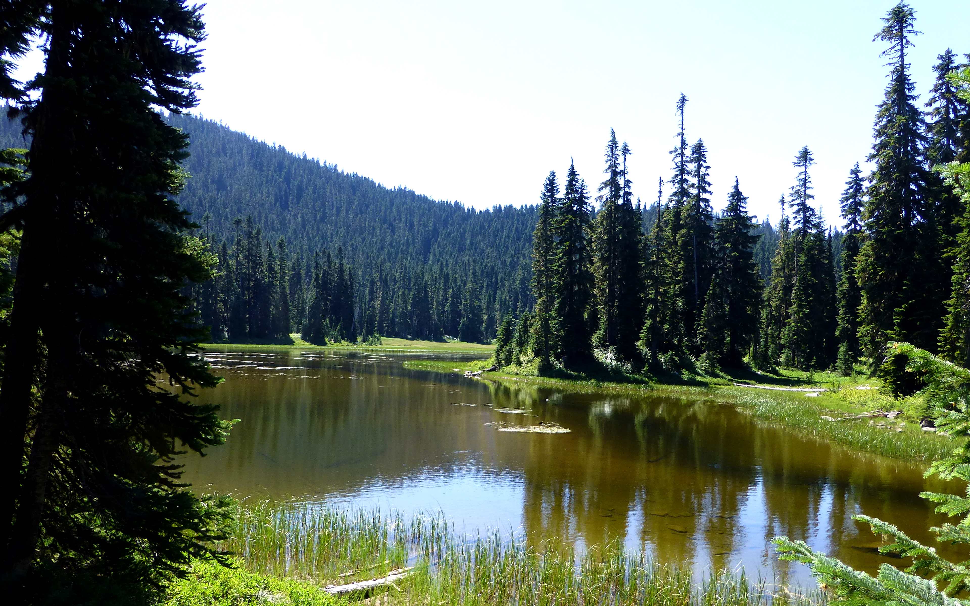Smokey Creek Campground