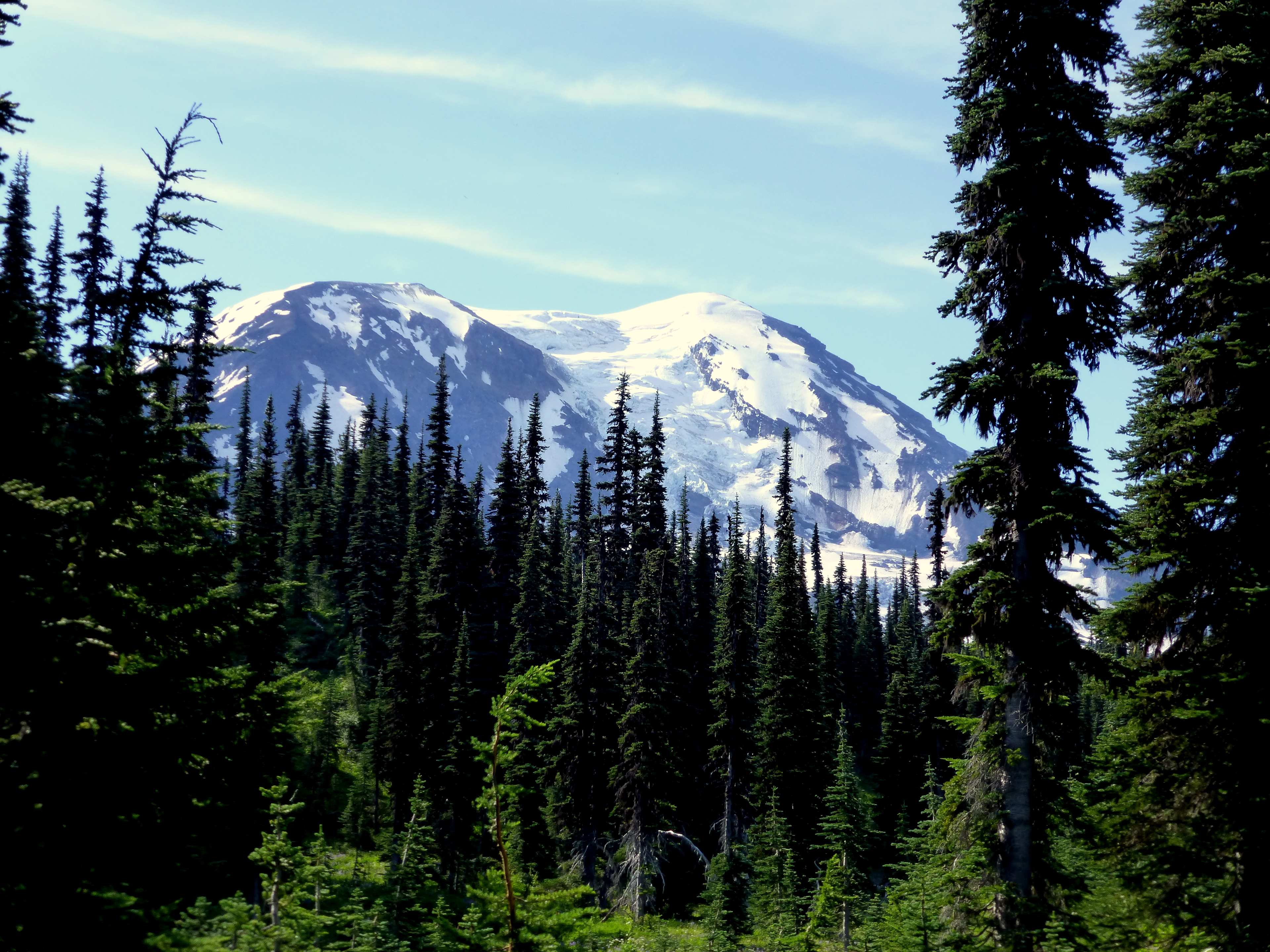 Mt. Adams Horse Camp
