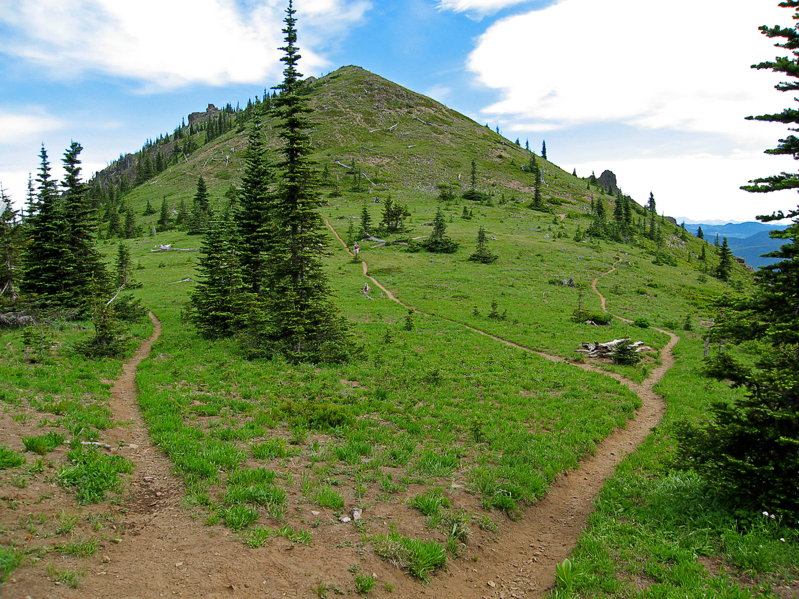 Pacific Crest Trail #2000 Suiattle Pass Dispersed Camp