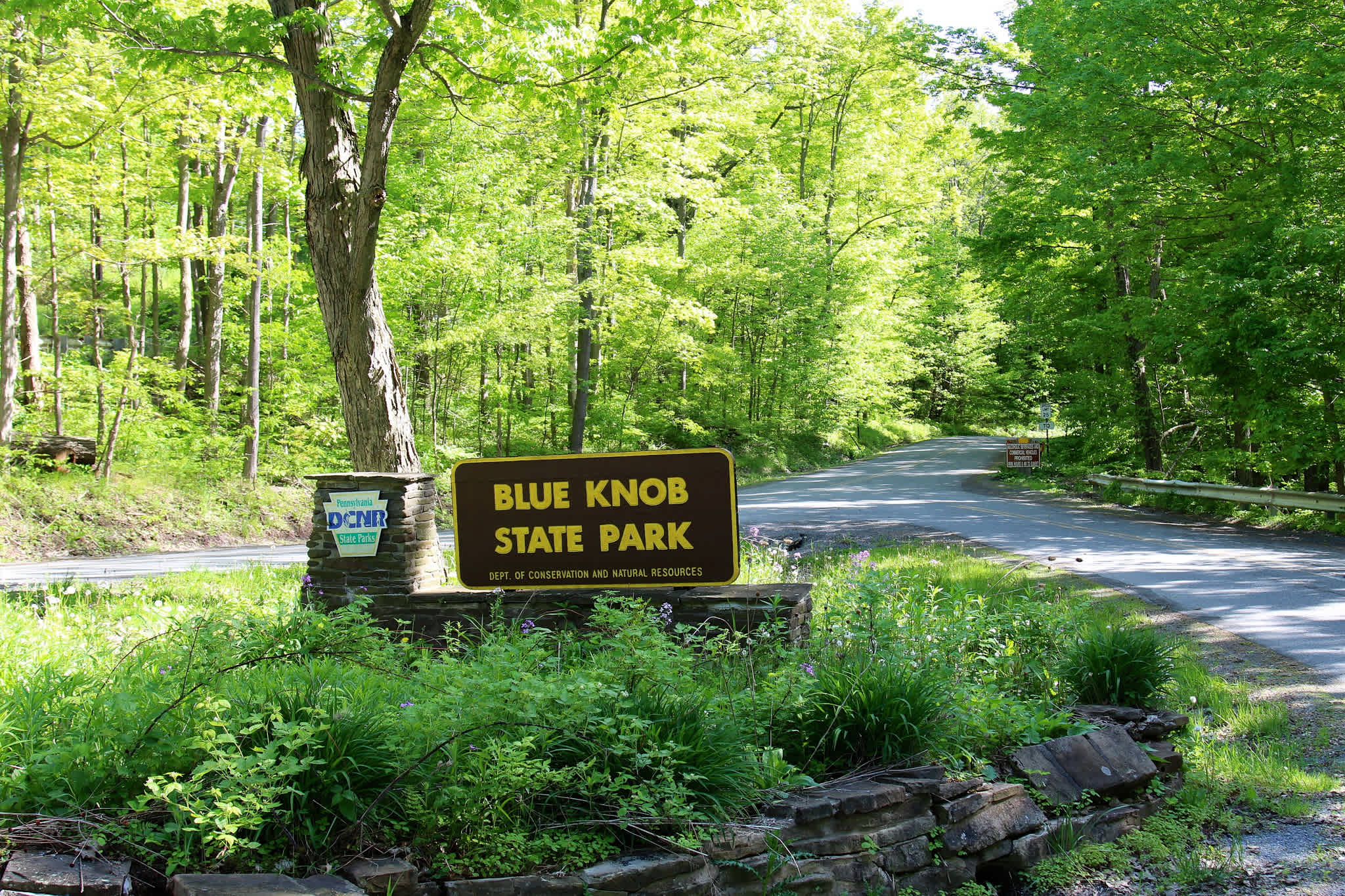 Blue Knob Park Campground