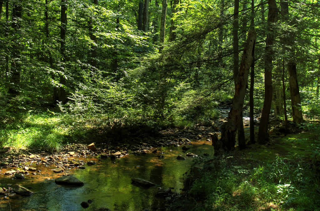 Fowlers Hollow Park Campground