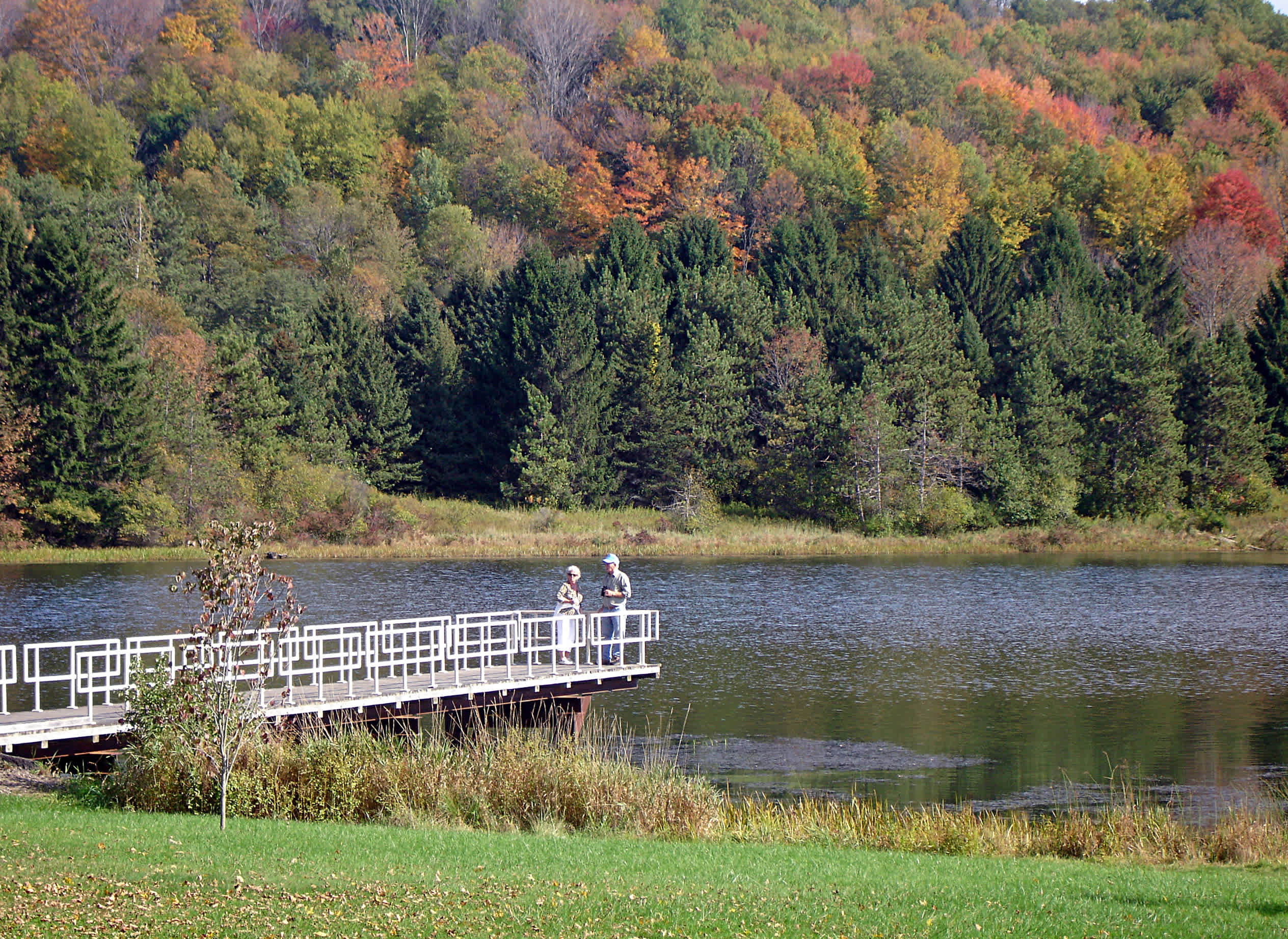 Lackawanna Park Campground