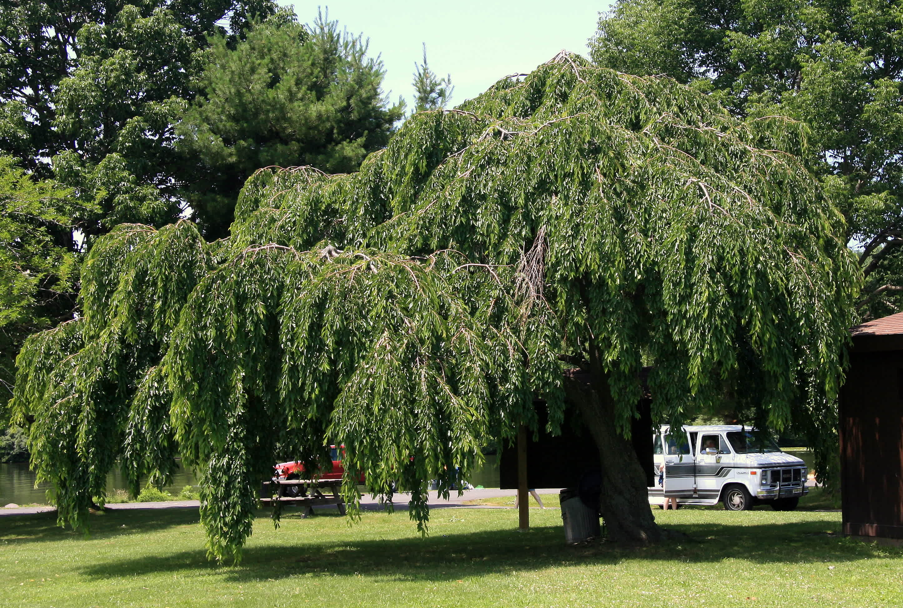 Nockamixon Park Campground
