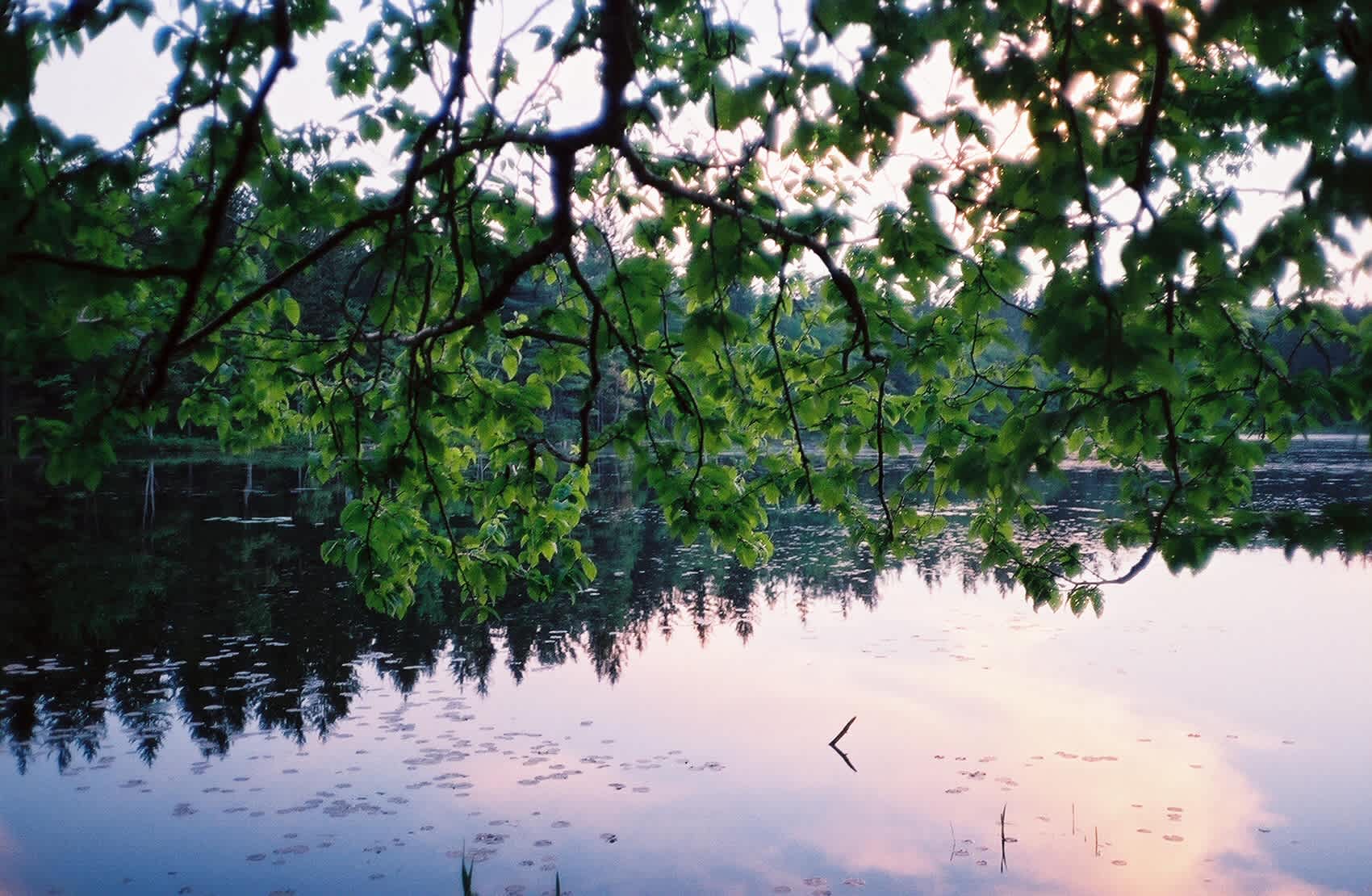 Lower Lake Campground