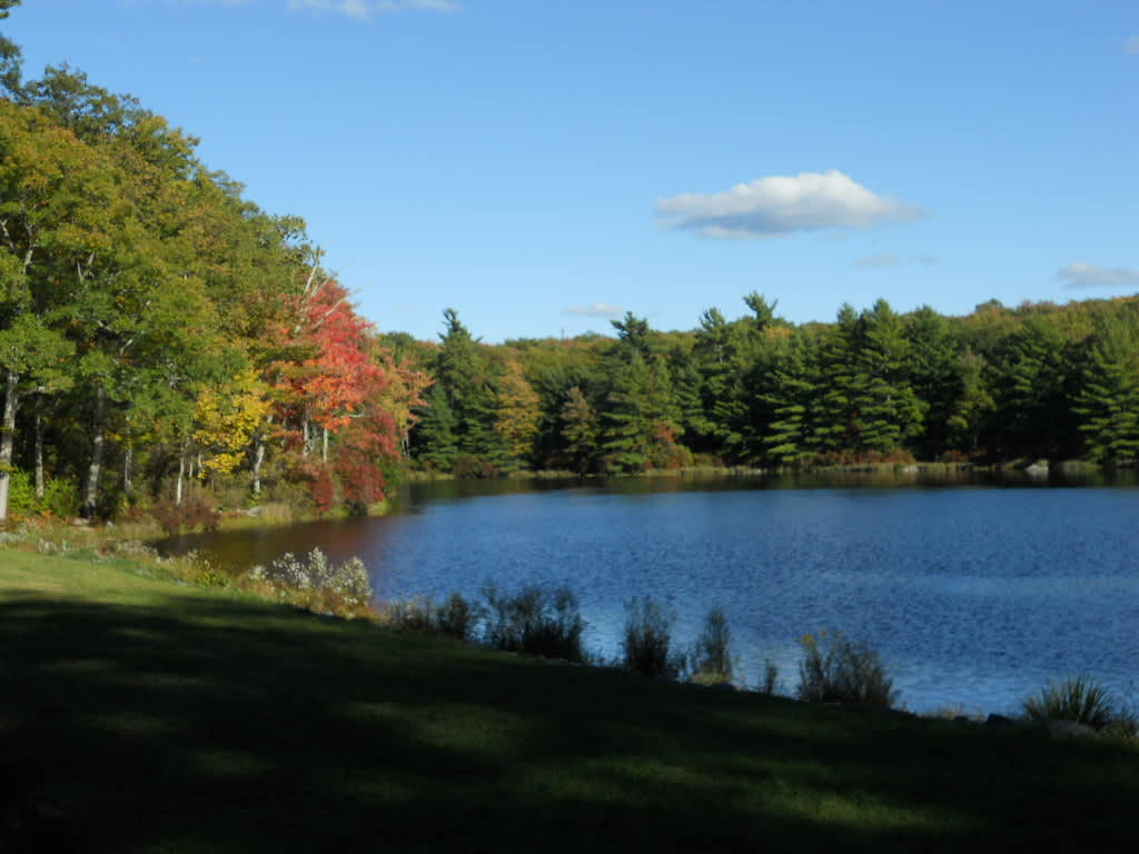 Pines Campground