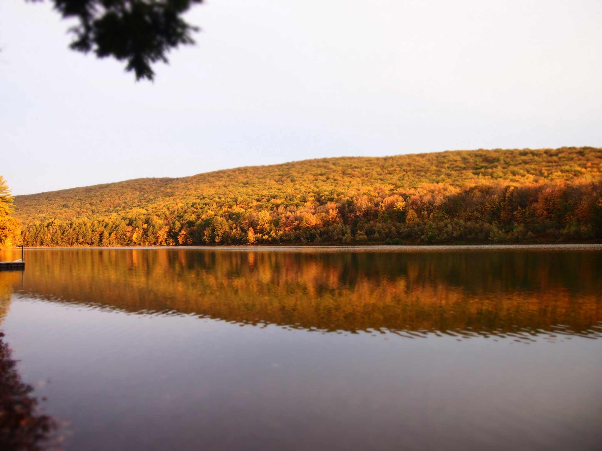 Tuscarora Park Campground