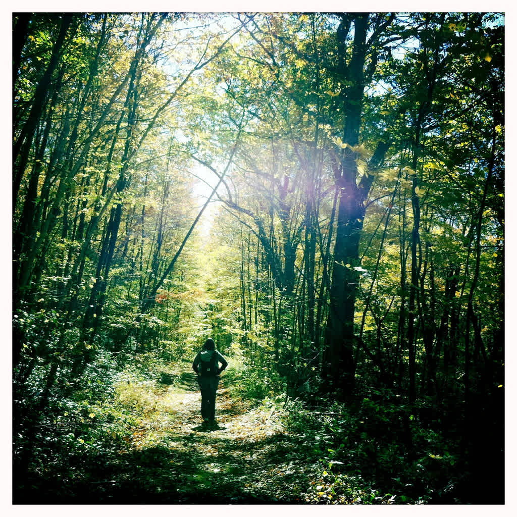 Beartown Campground