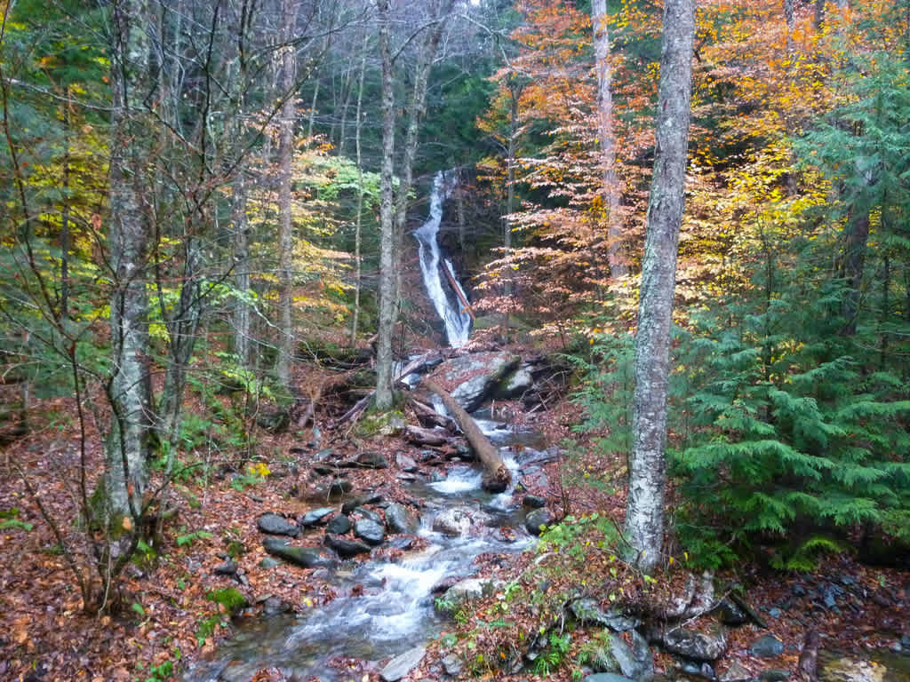 Chittenden Brook Campground