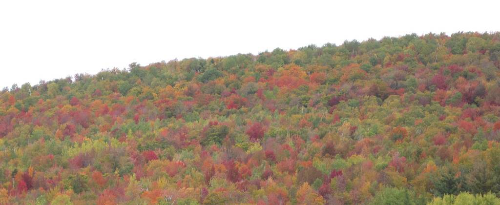 Lafayette Place Campground