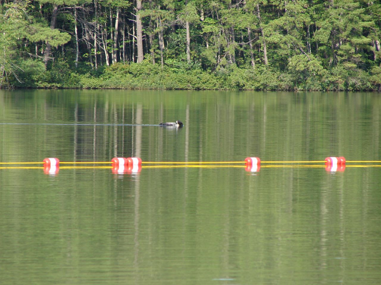 White Lake Campground