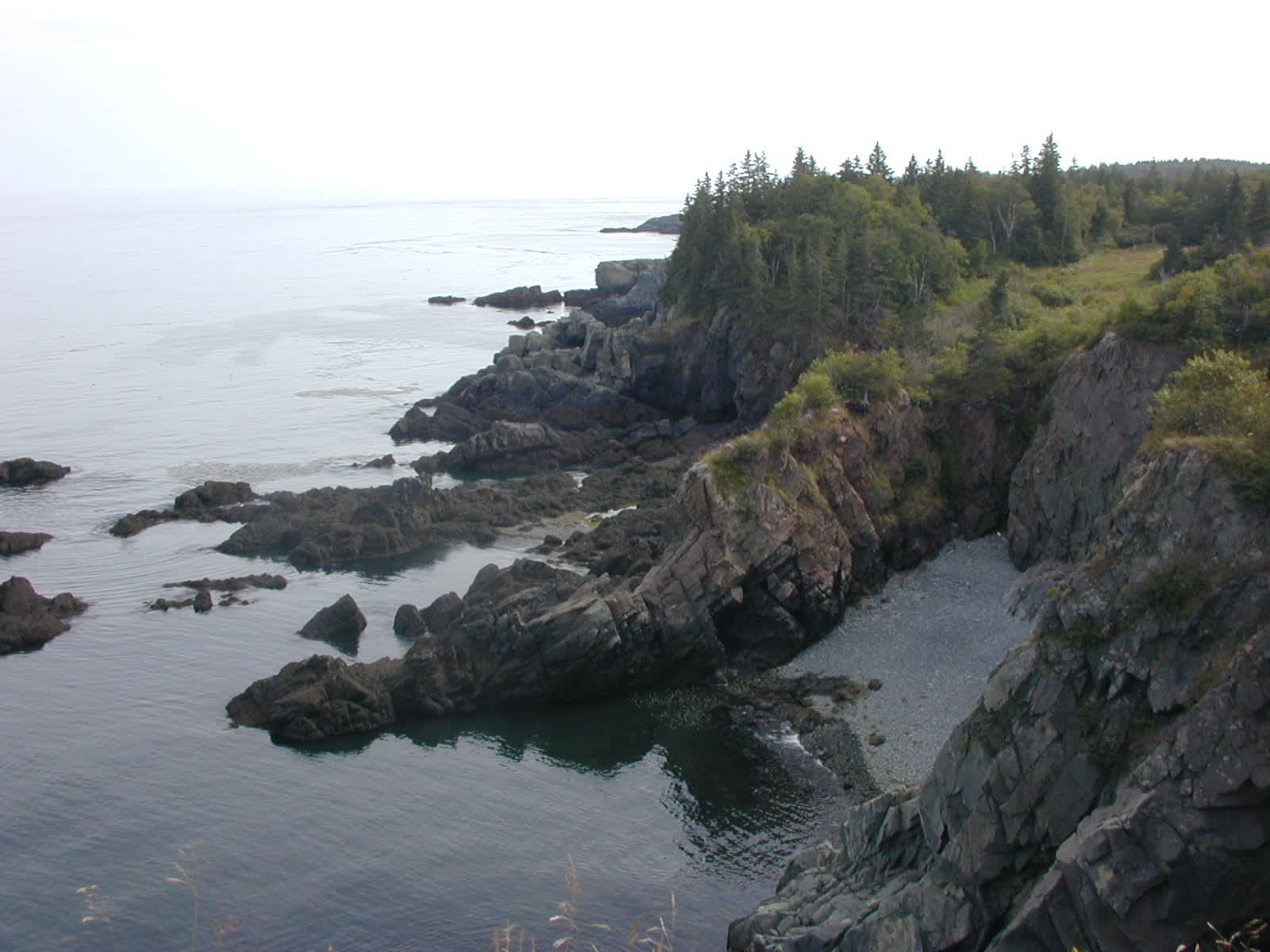 Cutler Coast Campground