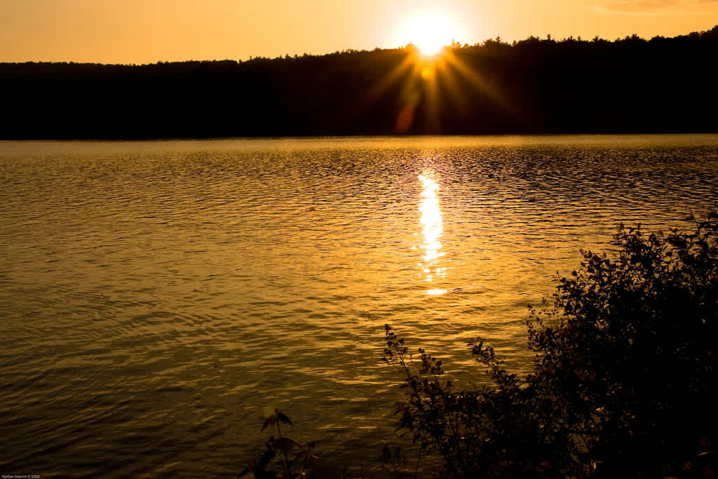 Lake St. George Campground