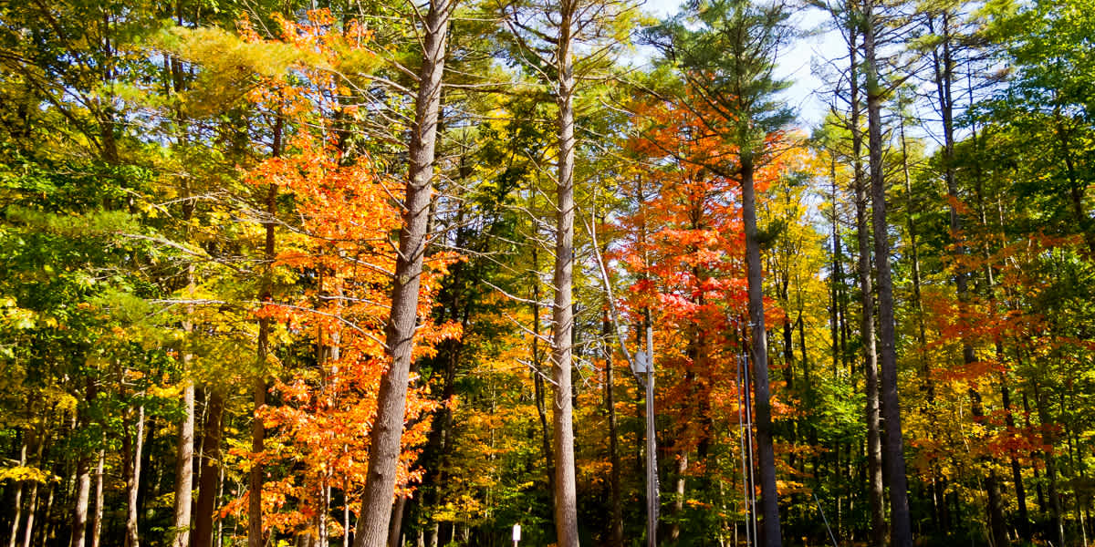 Sebago Lake Campground