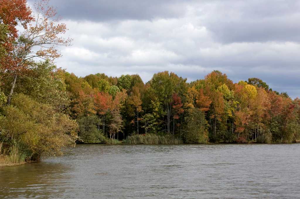 Lums Pond Campground