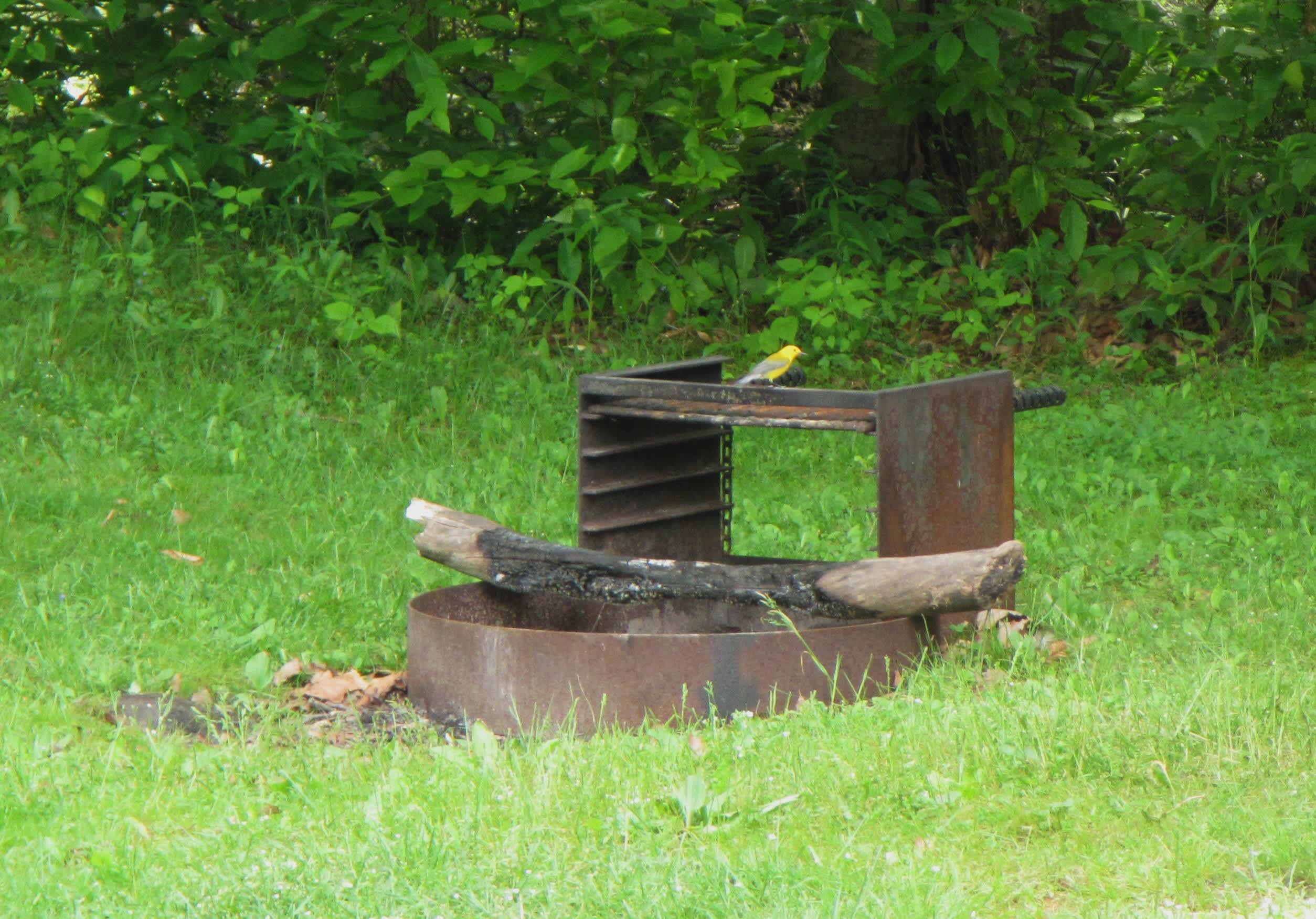 Big Run Campground