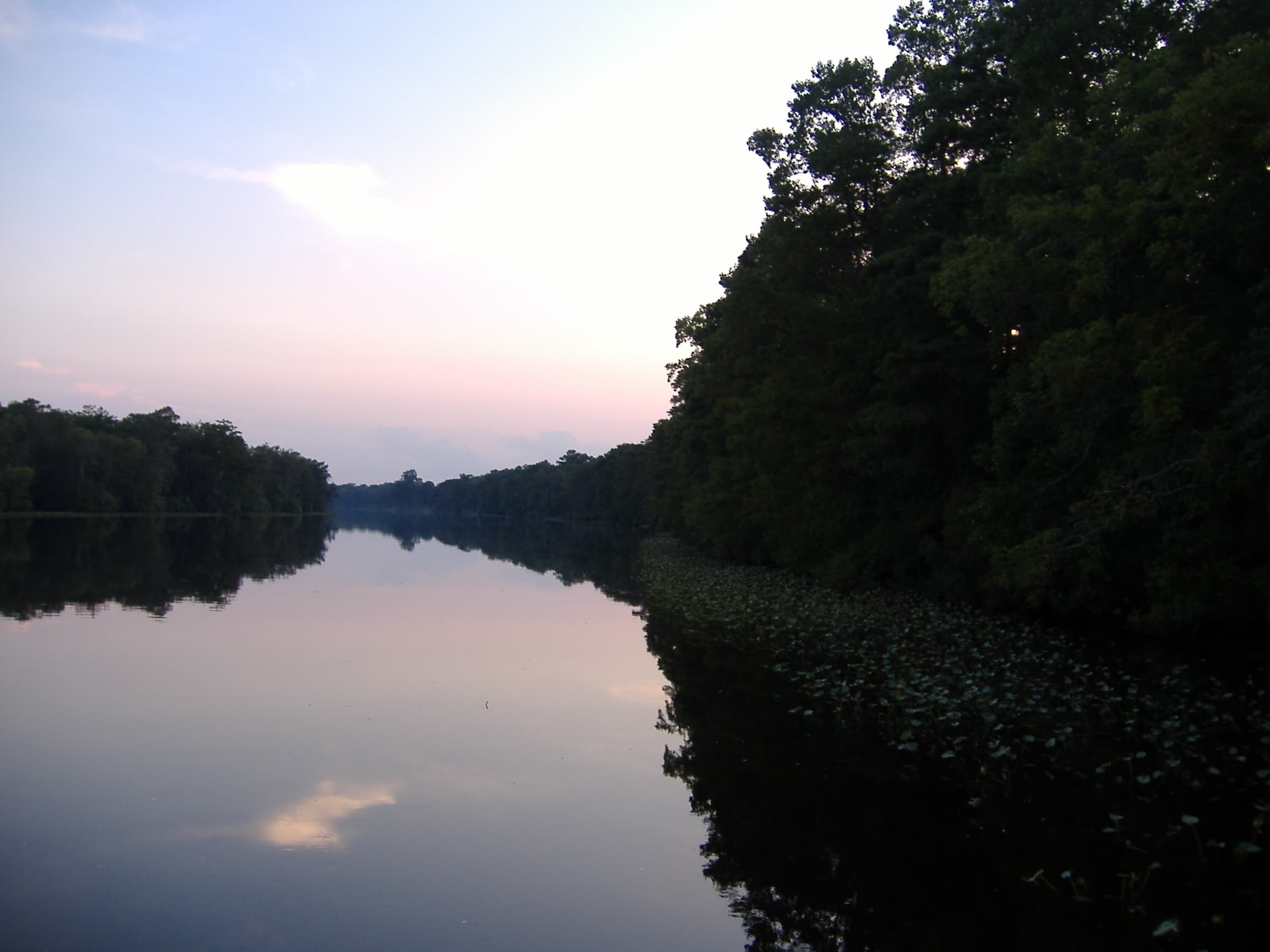 Pocomoke River Campground