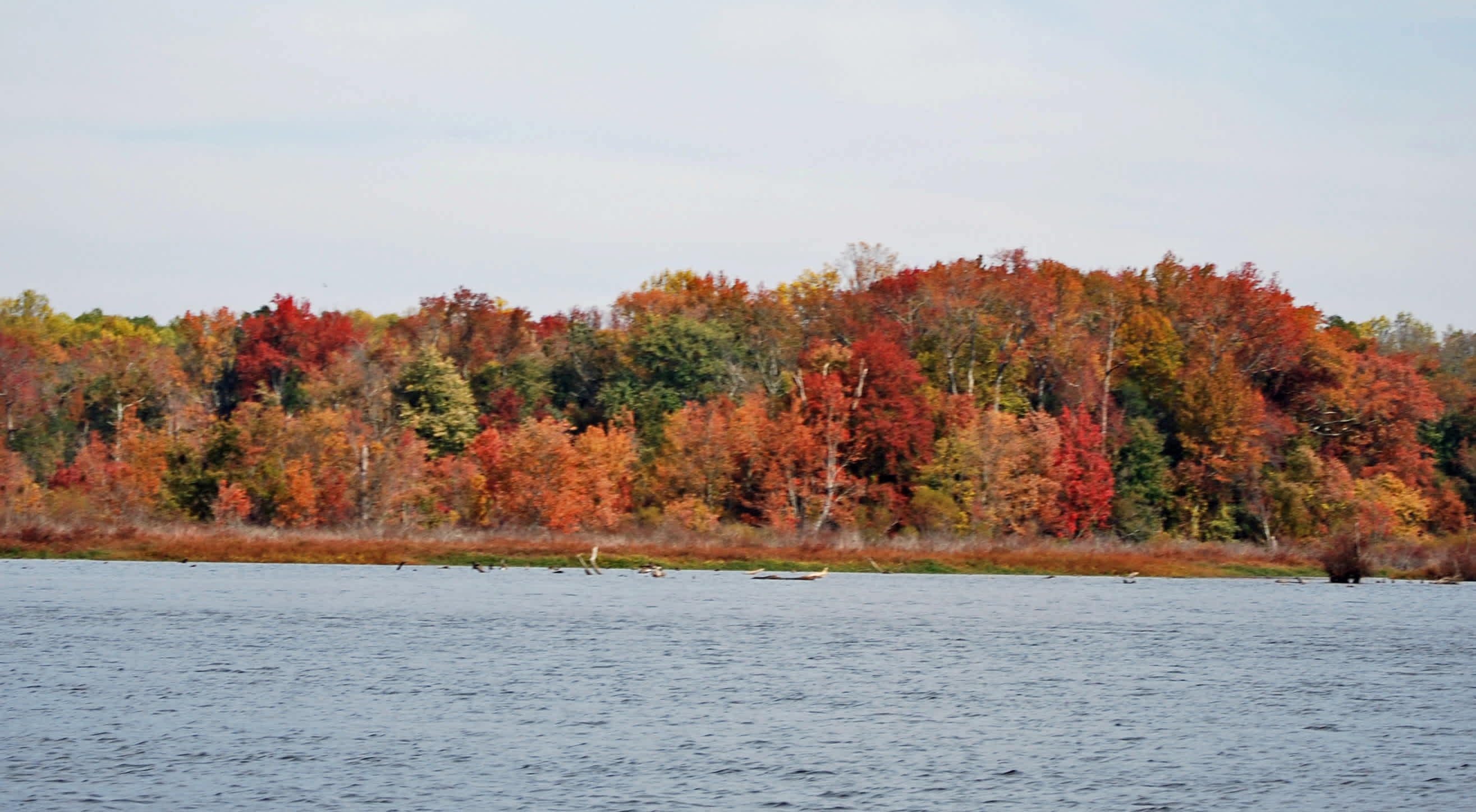 Tuckahoe State Park