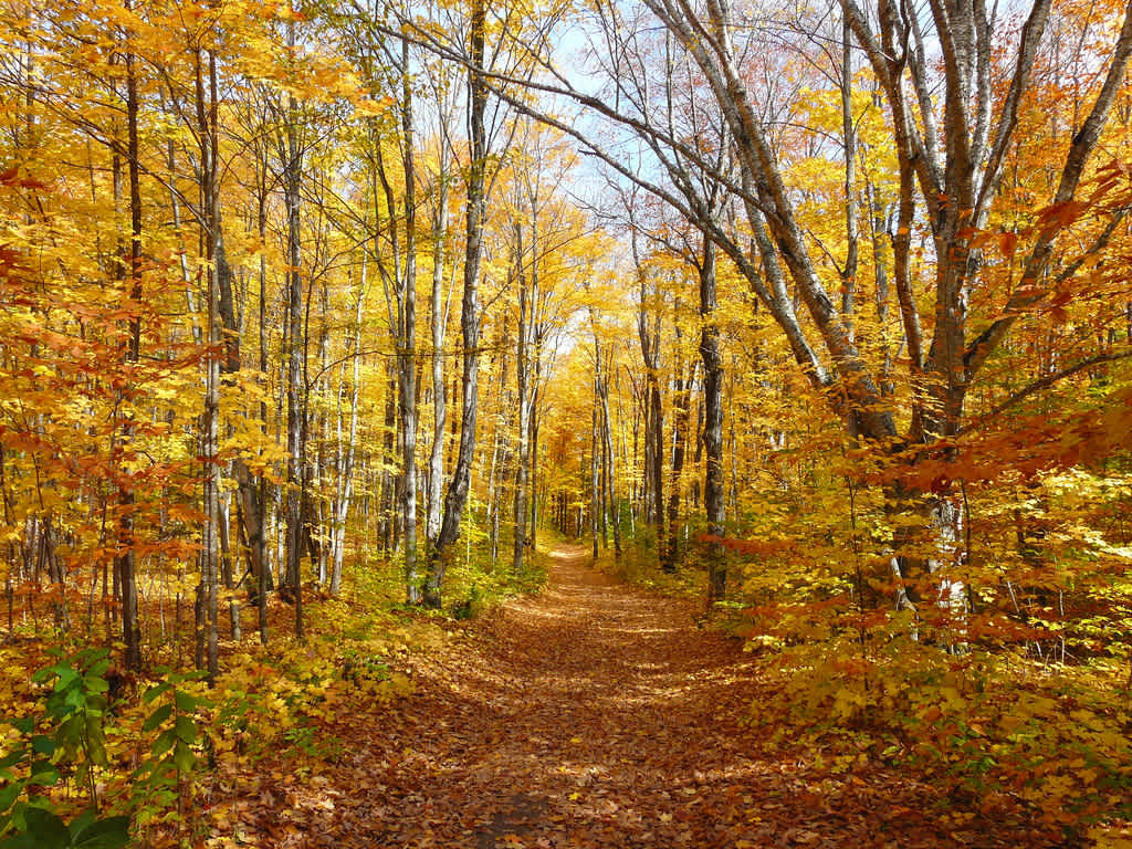 Autrain Lake Campground