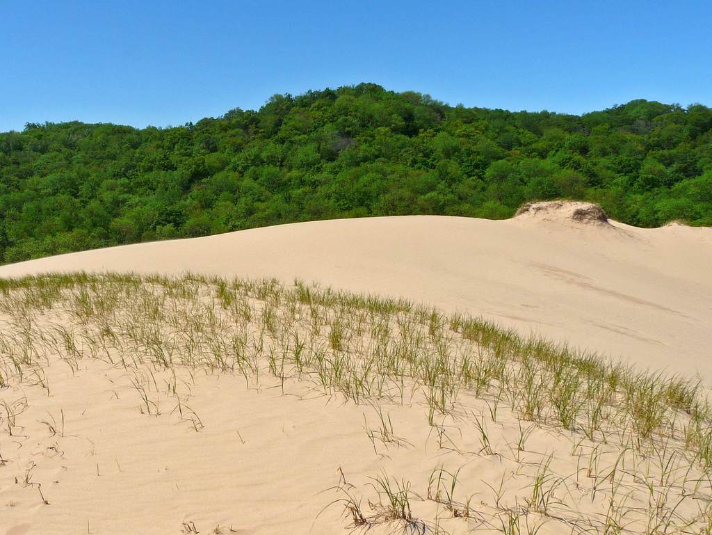 D.H. Day Campground