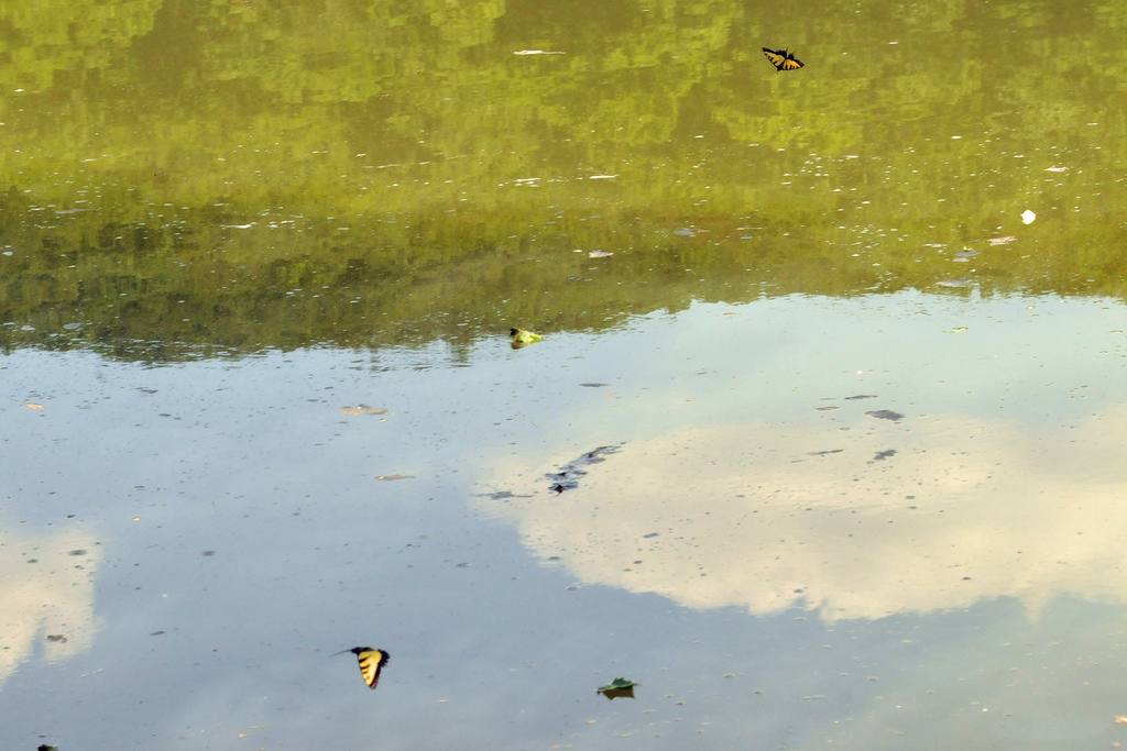 Pike Lake Campground