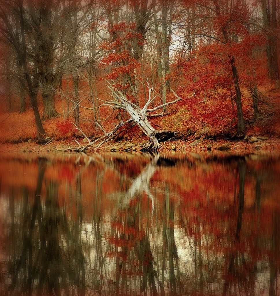 Wolf Run Campground