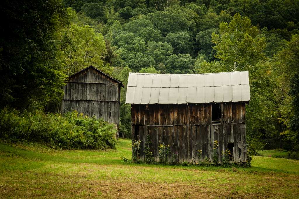 Wayne National Forest