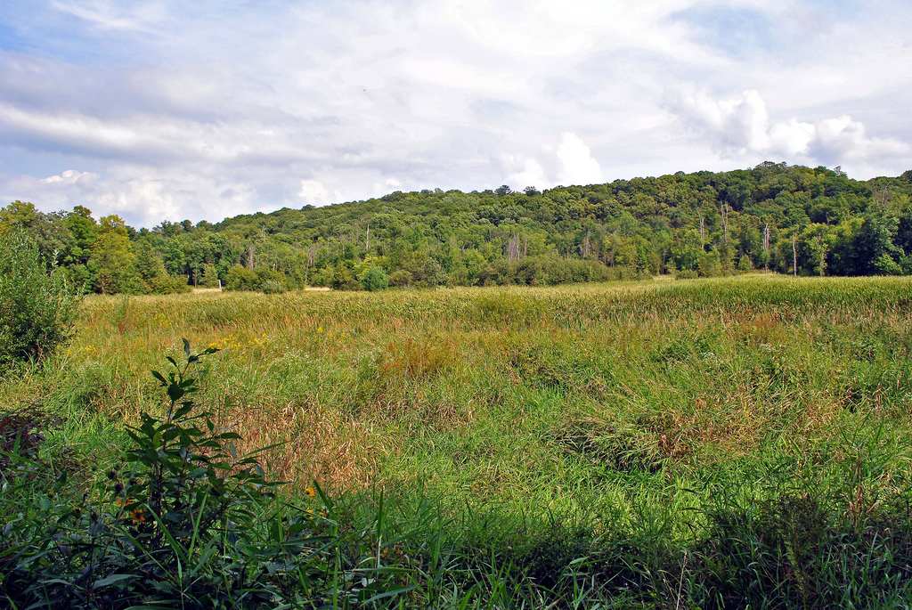 Interstate Campground