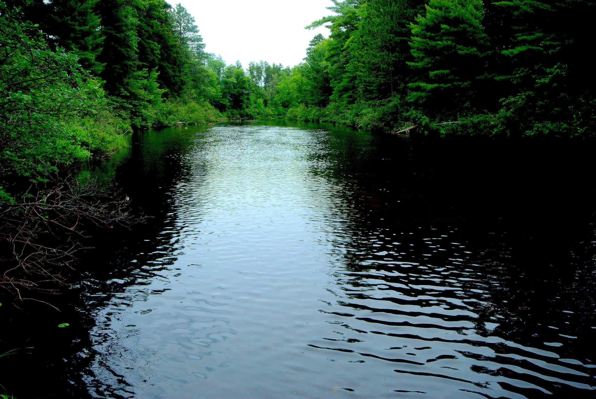 Crystal Lake Campground