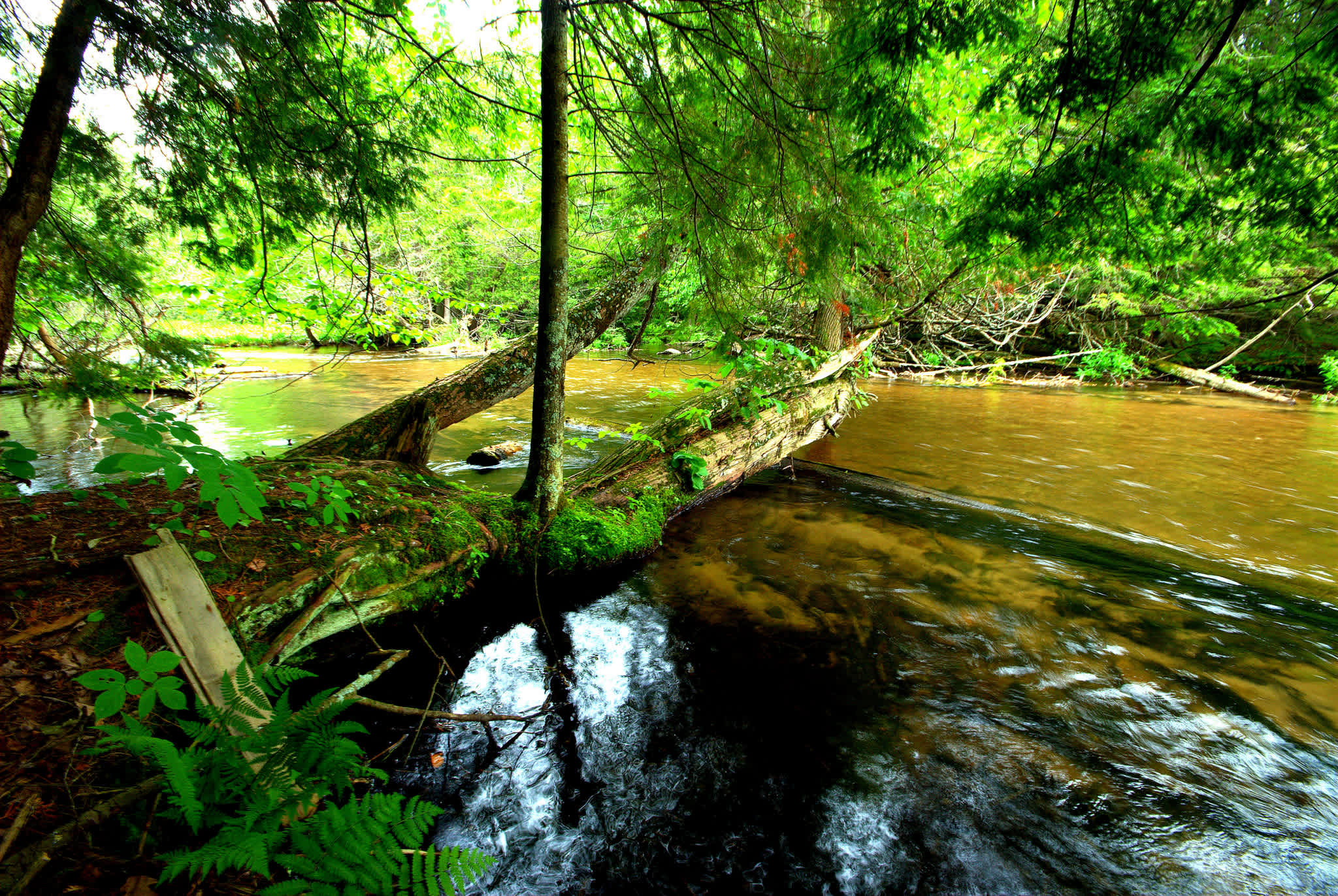 Big Lake Campground