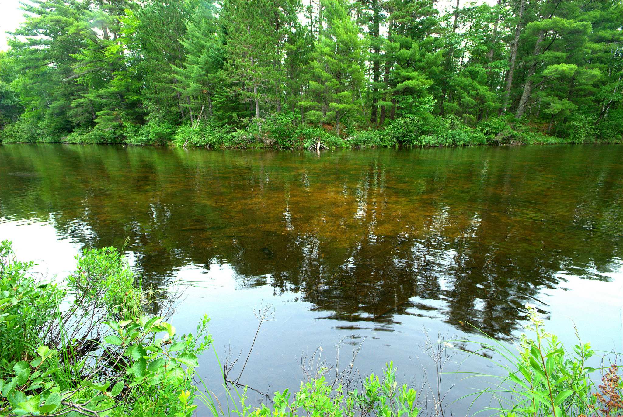 Firefly Lake Campground